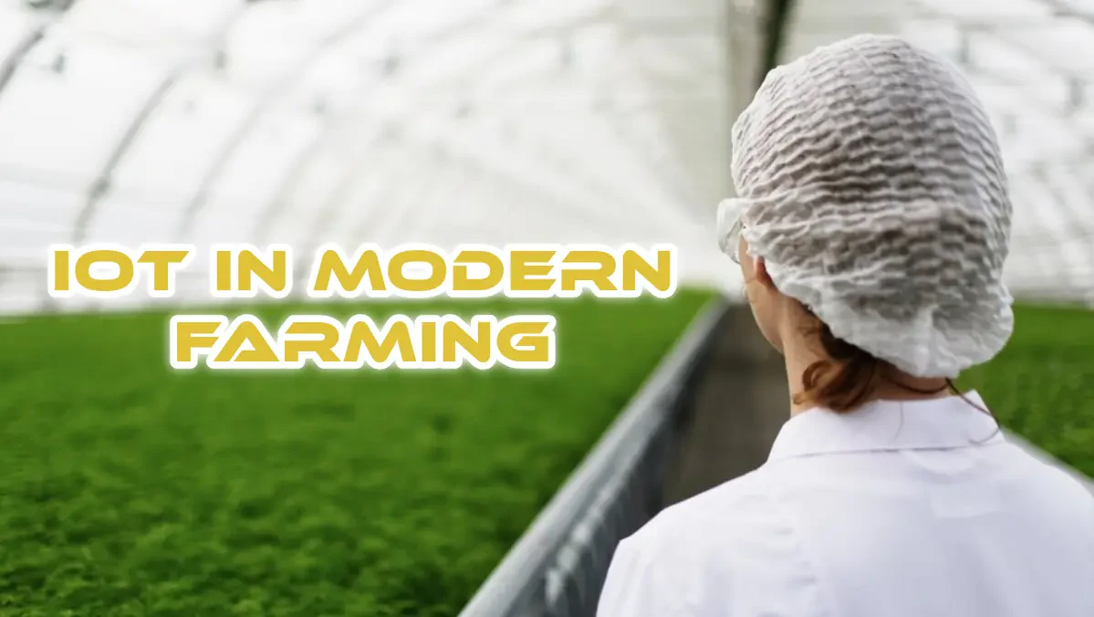The Role of IoT in Modern Farming