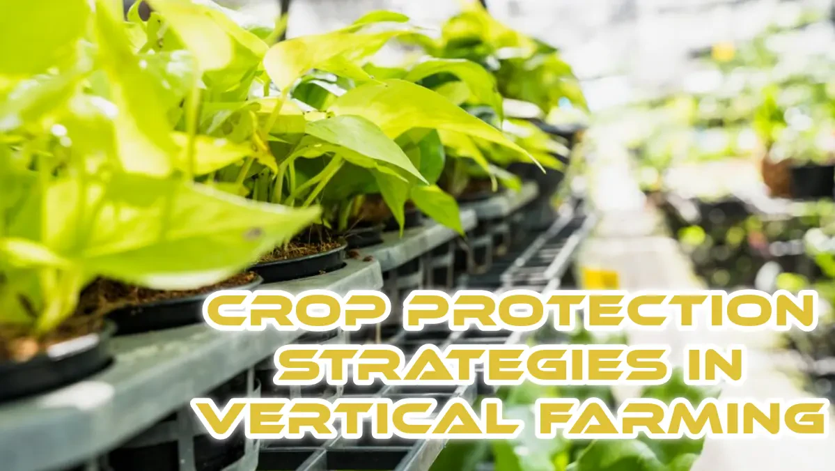 Advanced Crop Protection Strategies in Vertical Farming