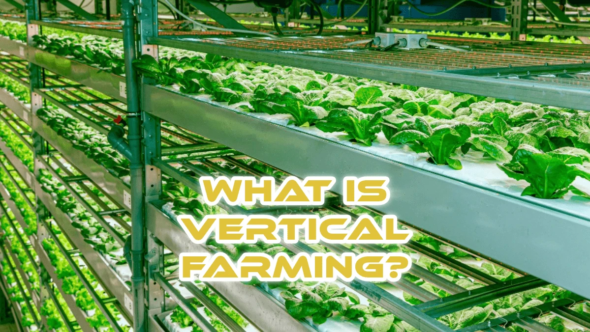 What is vertical farming?