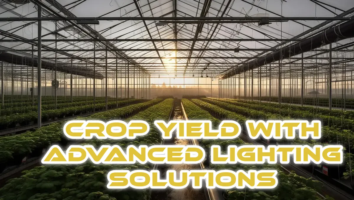 Maximizing Crop Yield with Advanced Lighting Solutions