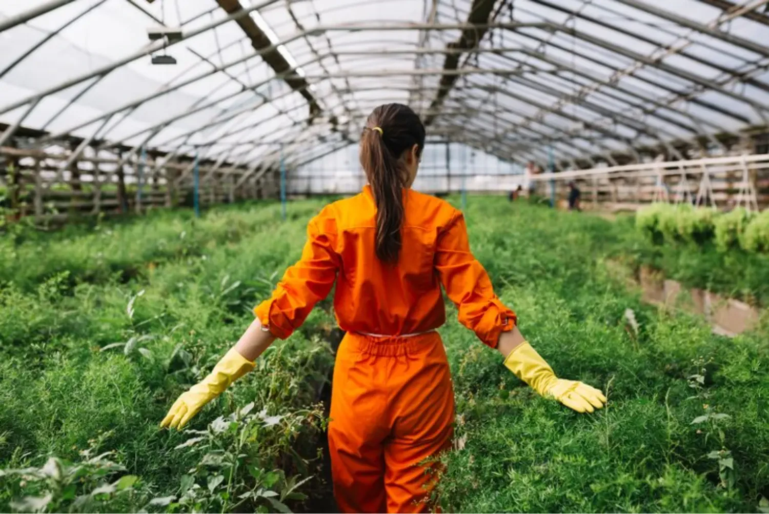 Integrated pest management in agriculture