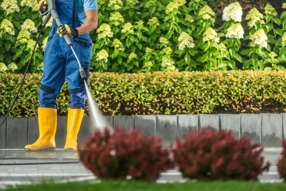 How to choose the best fungicide for your lawn