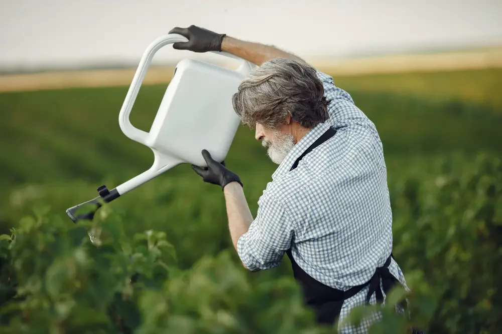 Crossbow herbicide: A comprehensive guide to brush and weed control