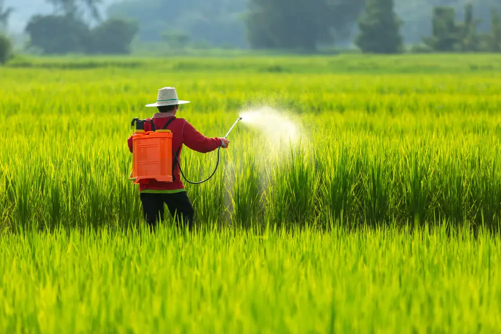 Celsius herbicide: Application tips and best practices