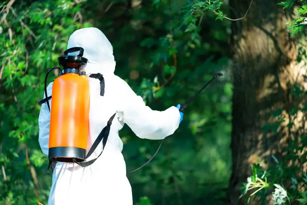 Talstar Insecticide: Comprehensive Guide for Effective Pest Control