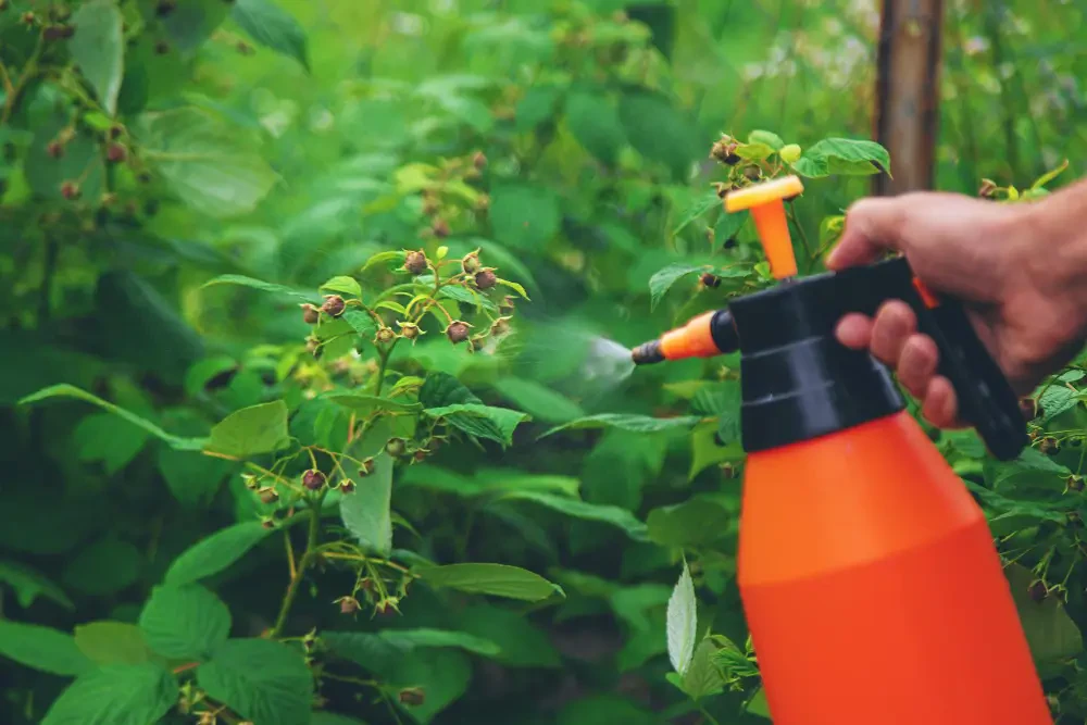 Tempo Insecticide: Fast-Acting Formula for Quick Pest Elimination