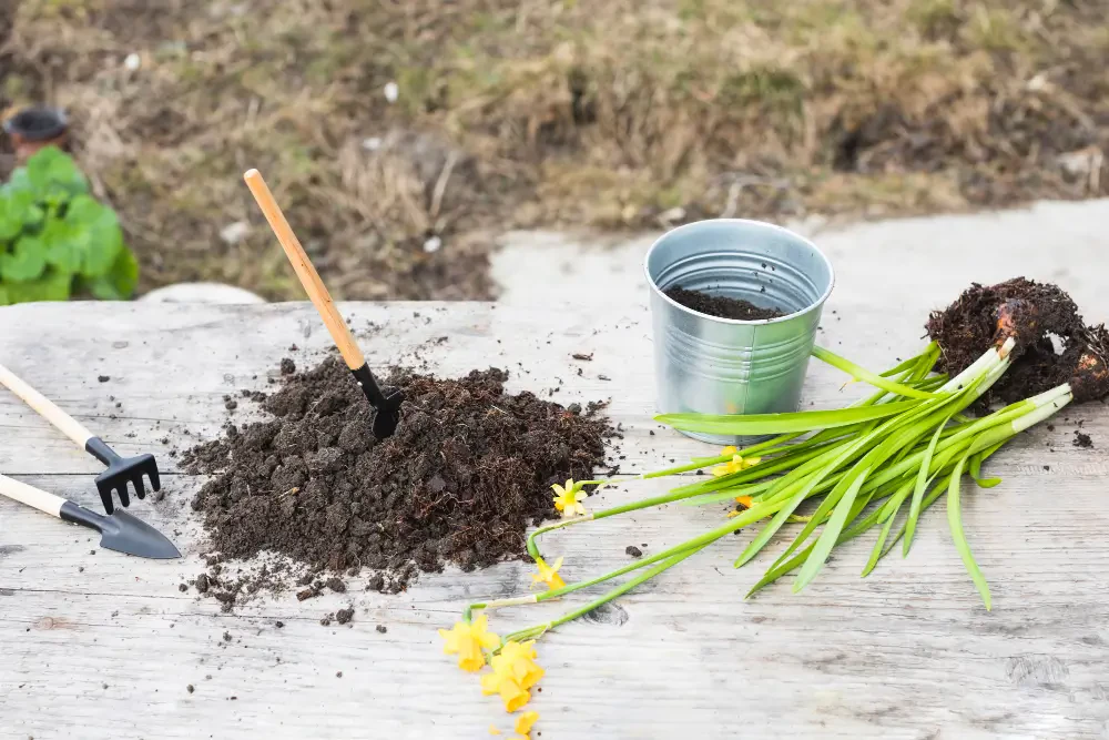 Benefits of using organic lawn fertilizer for sustainable gardening