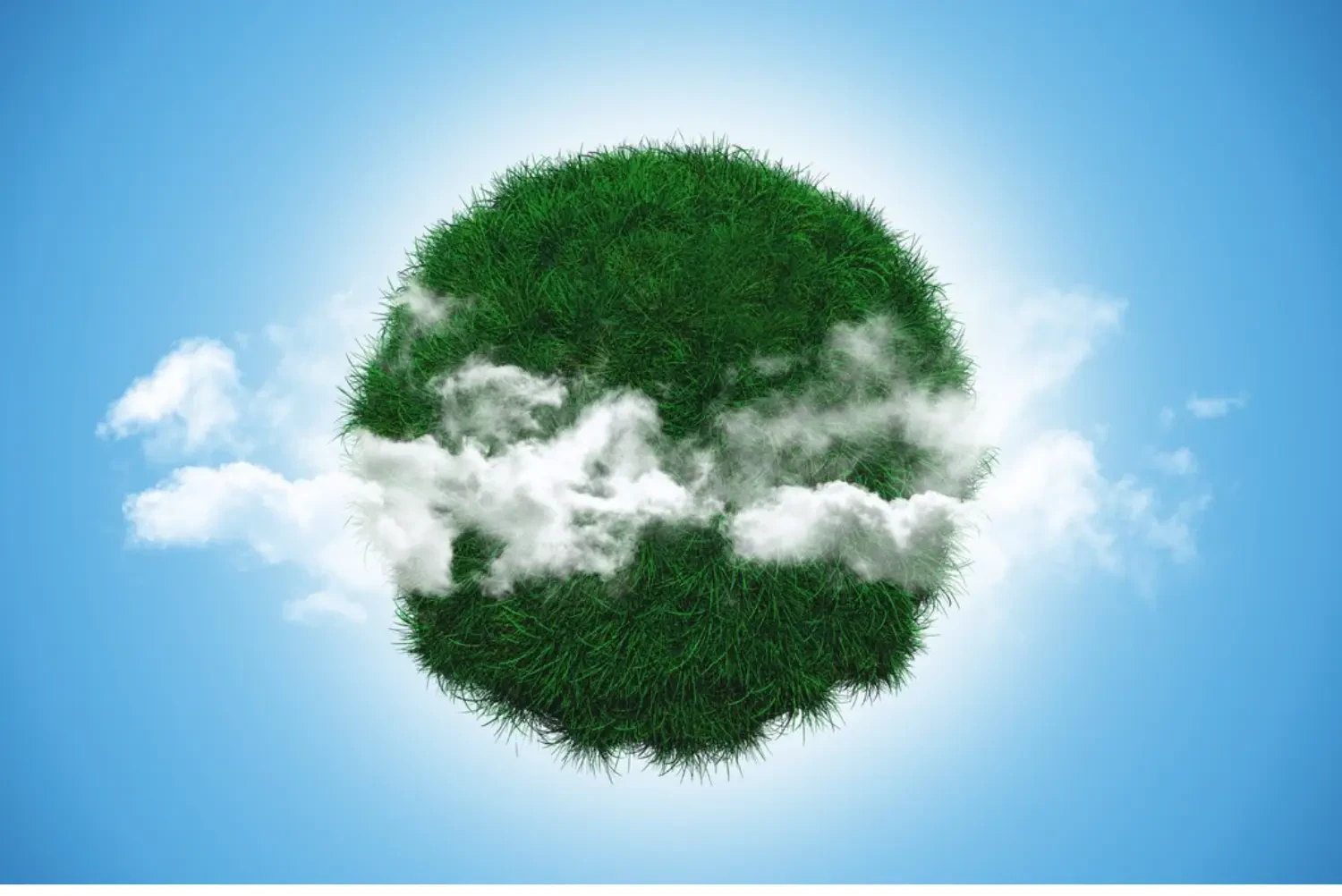 Maximizing Safety and Freshness with Willow Industries and Clear The Air Technologies