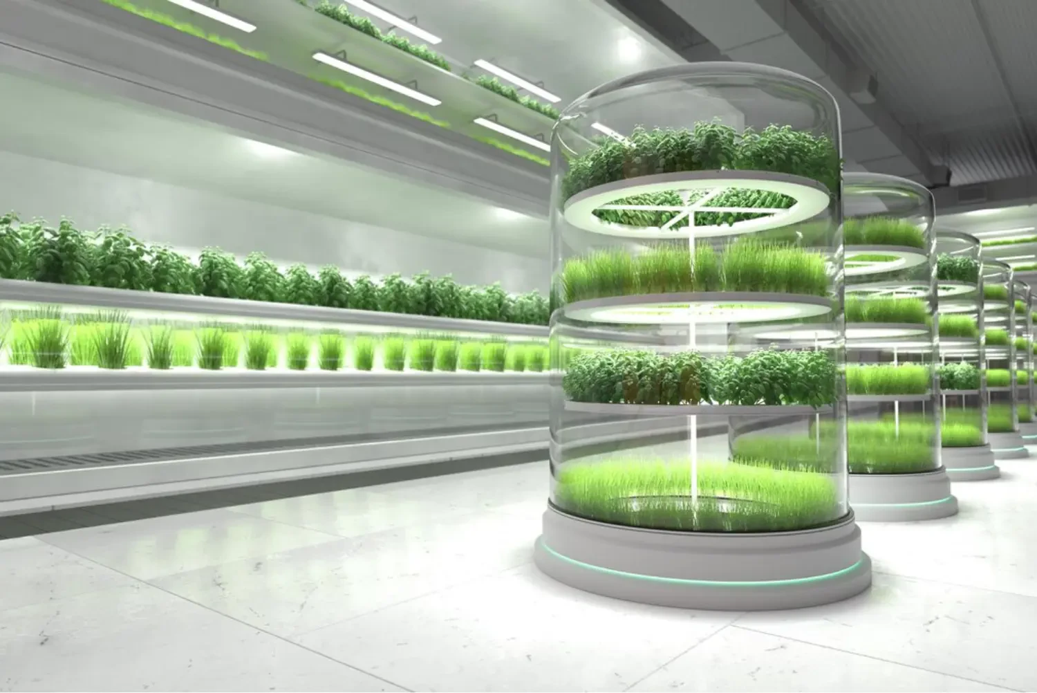 Lighting the Future of Agriculture: Cutting-edge Products from CropBoss, Aelius LED, and ILuminar Lighting