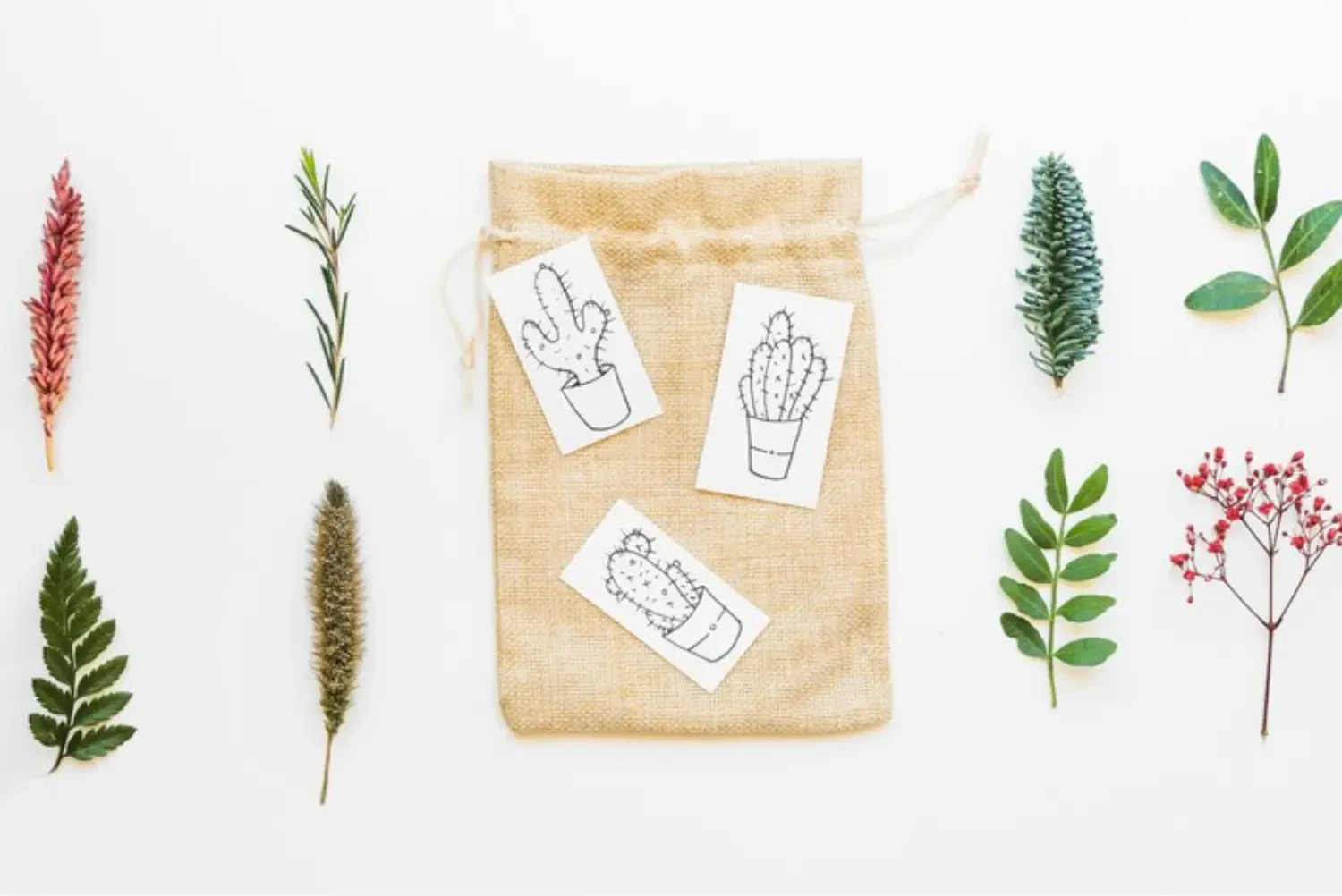 Elevate Your Floral Presentations with Neu Bag's Advanced Flower Infusion Packs