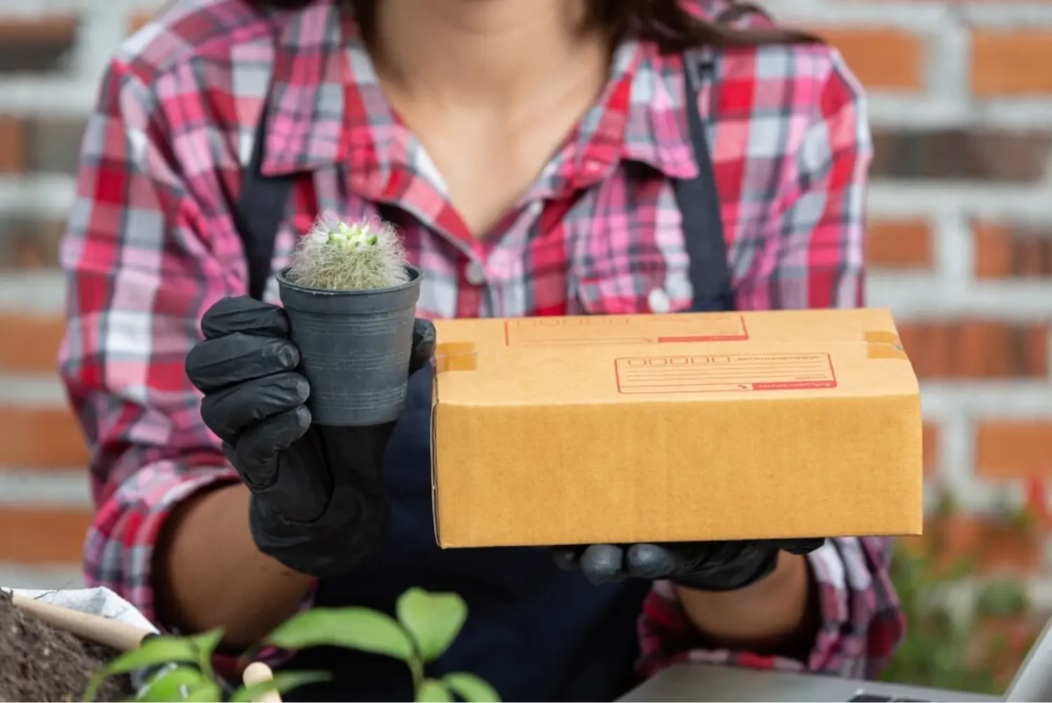 LeafyPack and Accelerant: Driving the Future of Sustainable and Automated Packaging