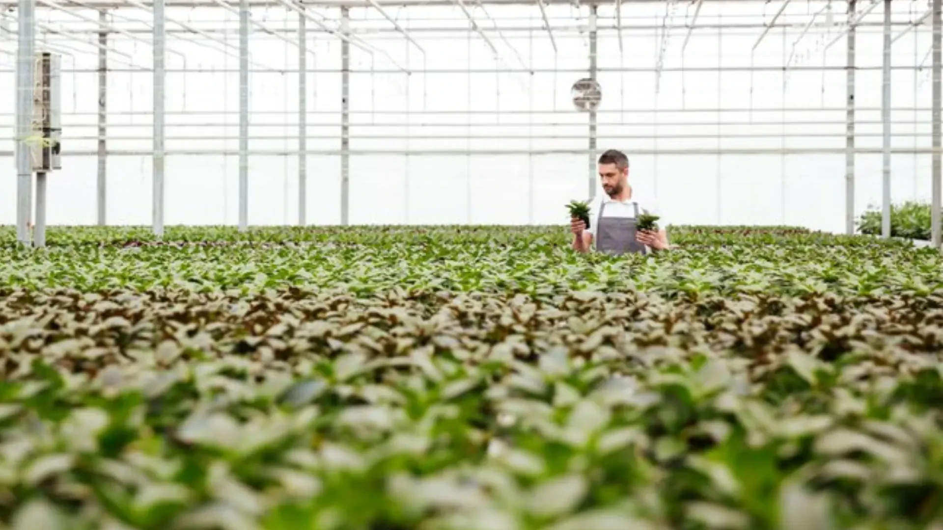 Transforming Industrial Spaces with AirROS: SAGE Industrial's Innovative Air Purification Technology