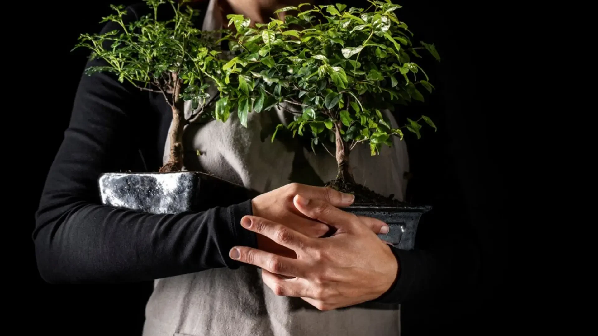 Optimal Plant Health and Productivity: The Benefits of Aquabella, Pro Farm, and GreenGro Products