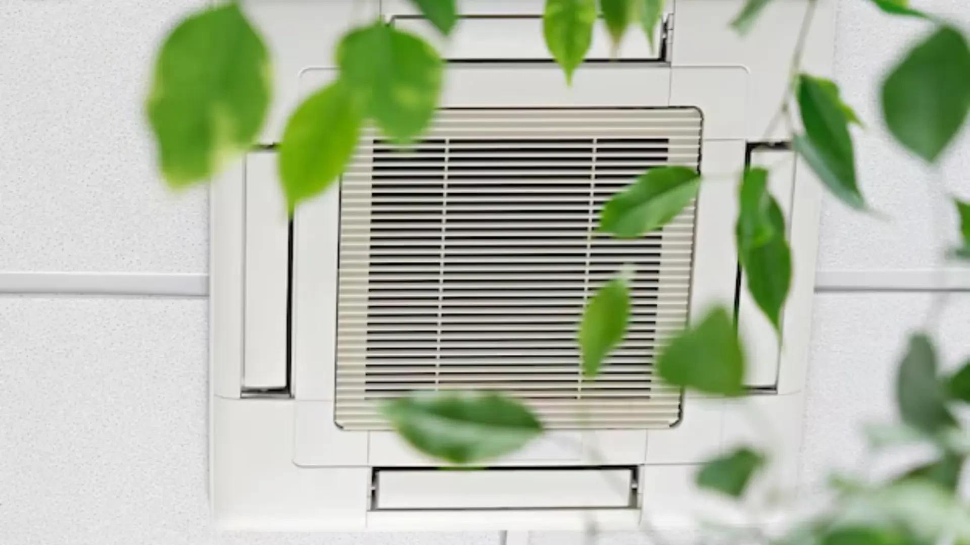 Advanced Air Solutions for Sustainable Growth: Exploring GreenTech and Willow Air's Innovative Products