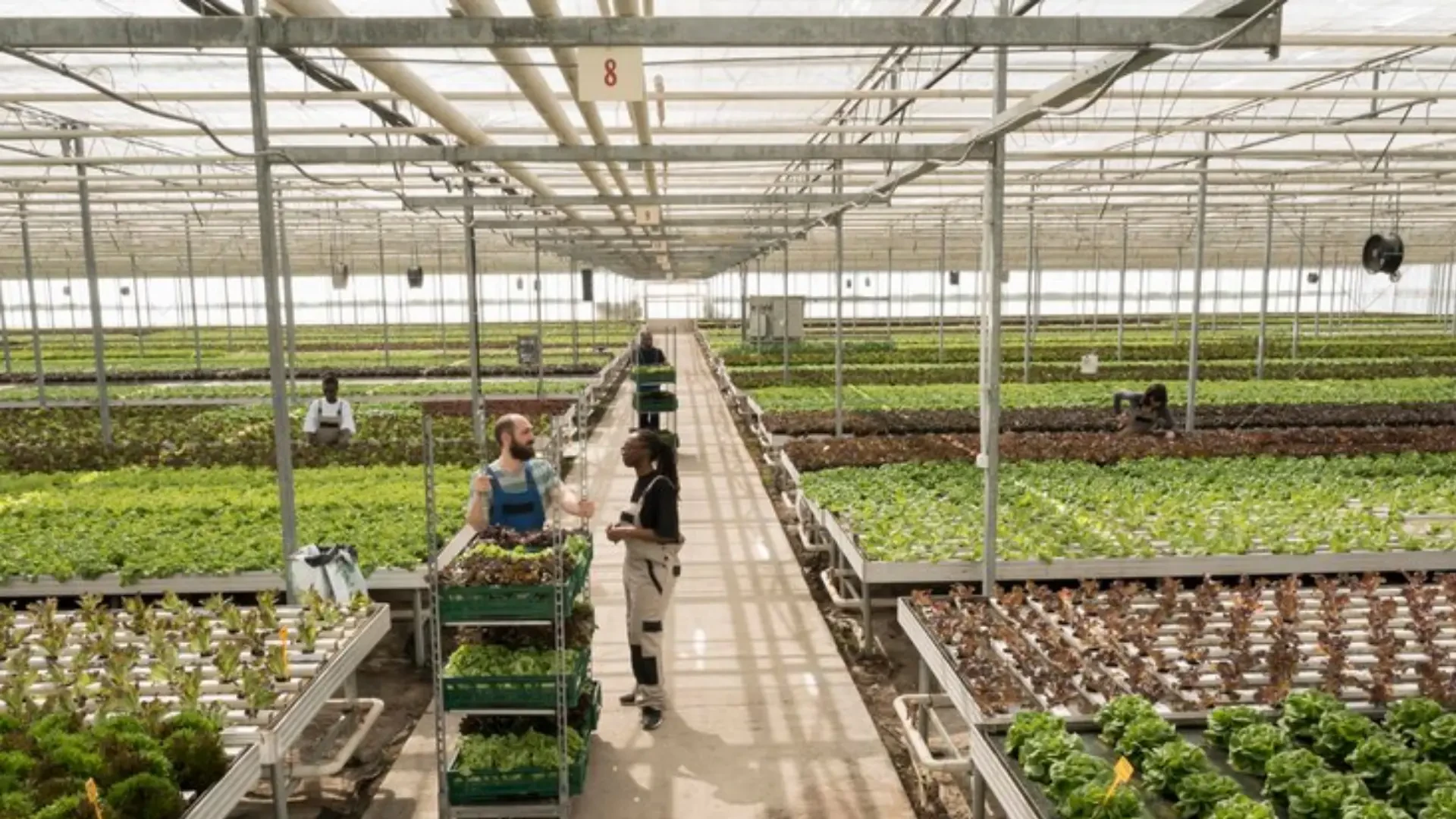 Integrating Rhythm CSS For Precision Environment Controls In Greenhouses