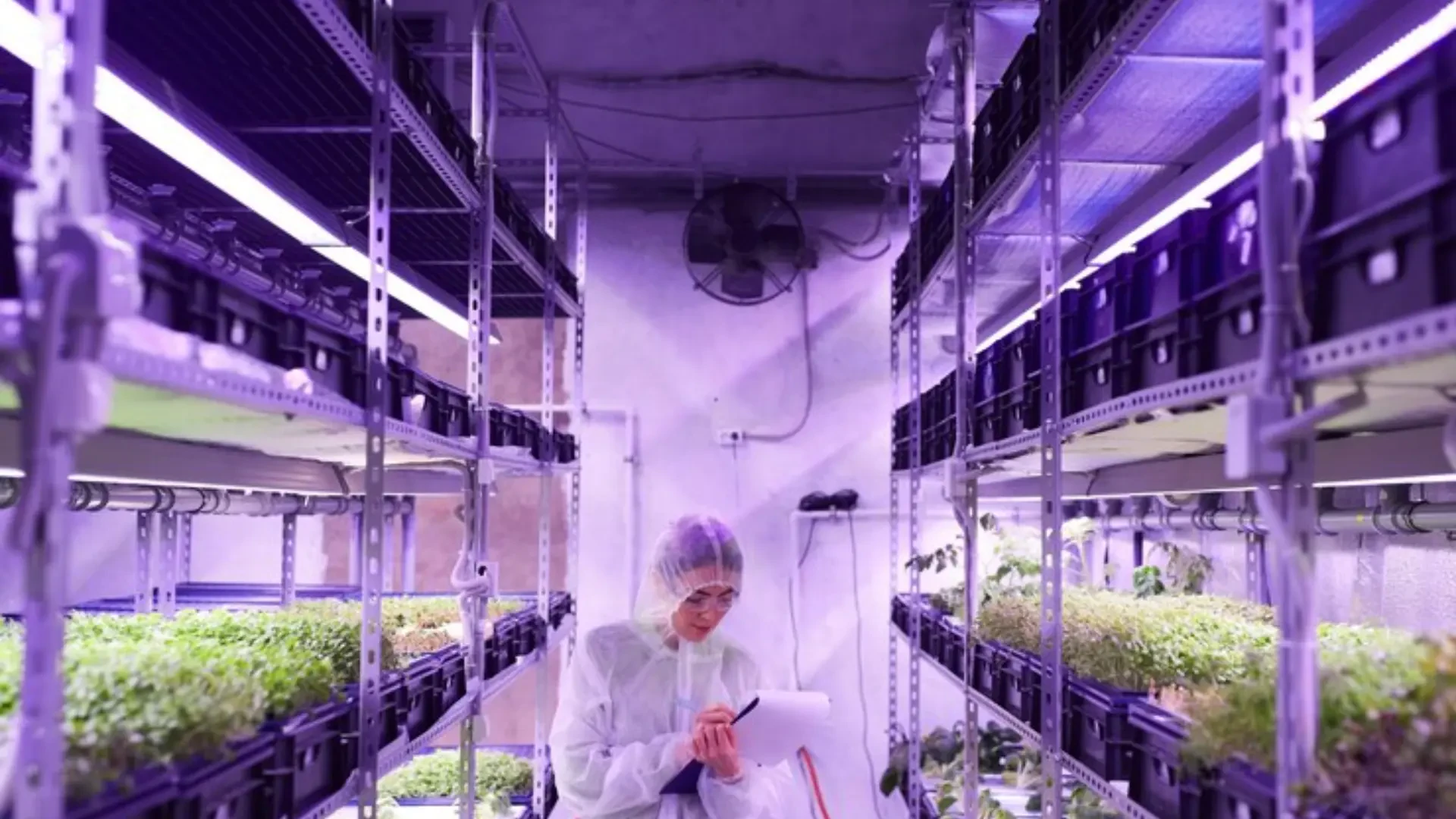 Advanced Indoor Growing: How AEssenseGrows and Uvonair Revolutionize Precision Farming and Air Purification