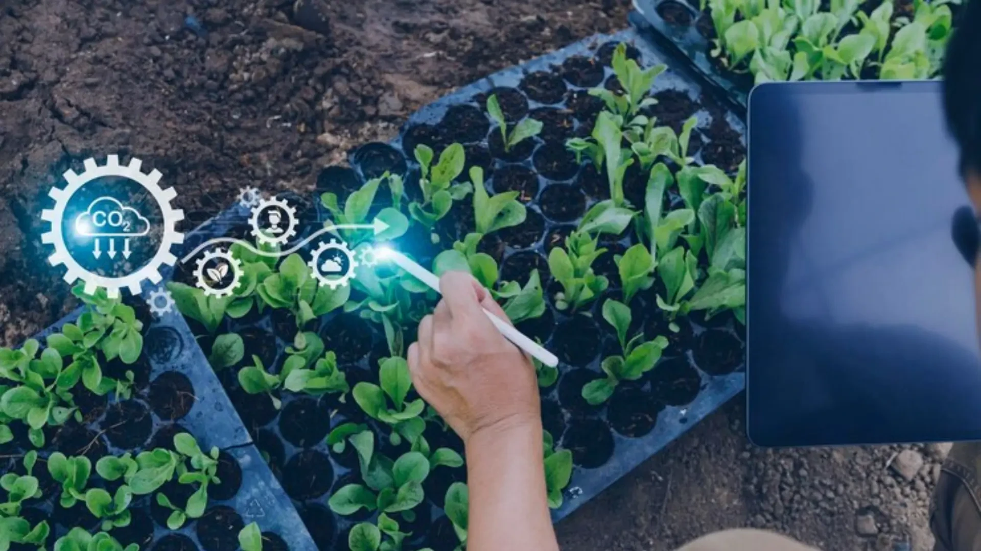 Precision Growing Solutions: Using the Power of Grownetics, Trolmaster, Climate Control and Hurricane Fans