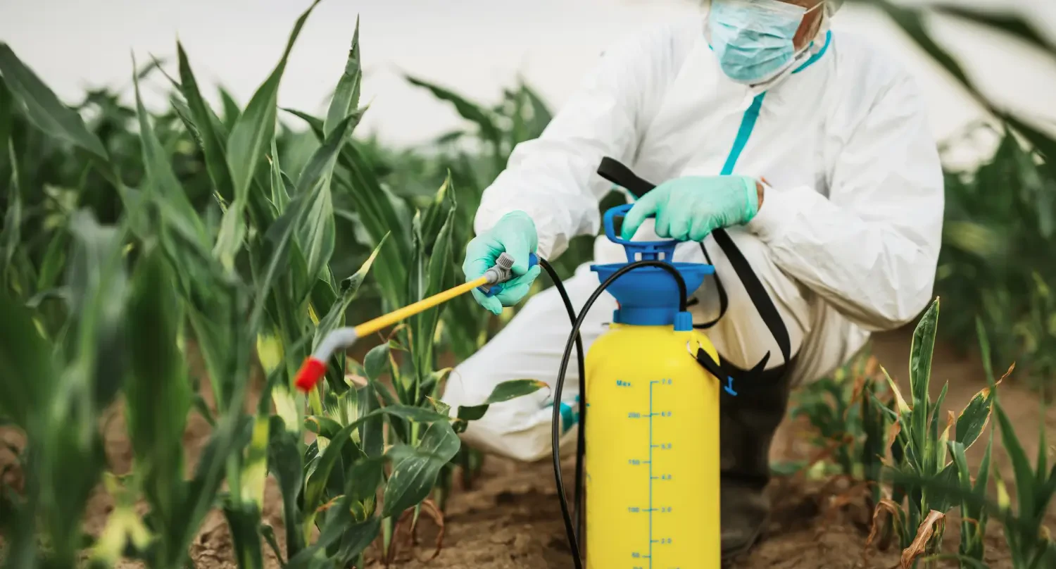 Organic pest control: Safe solutions for every garden