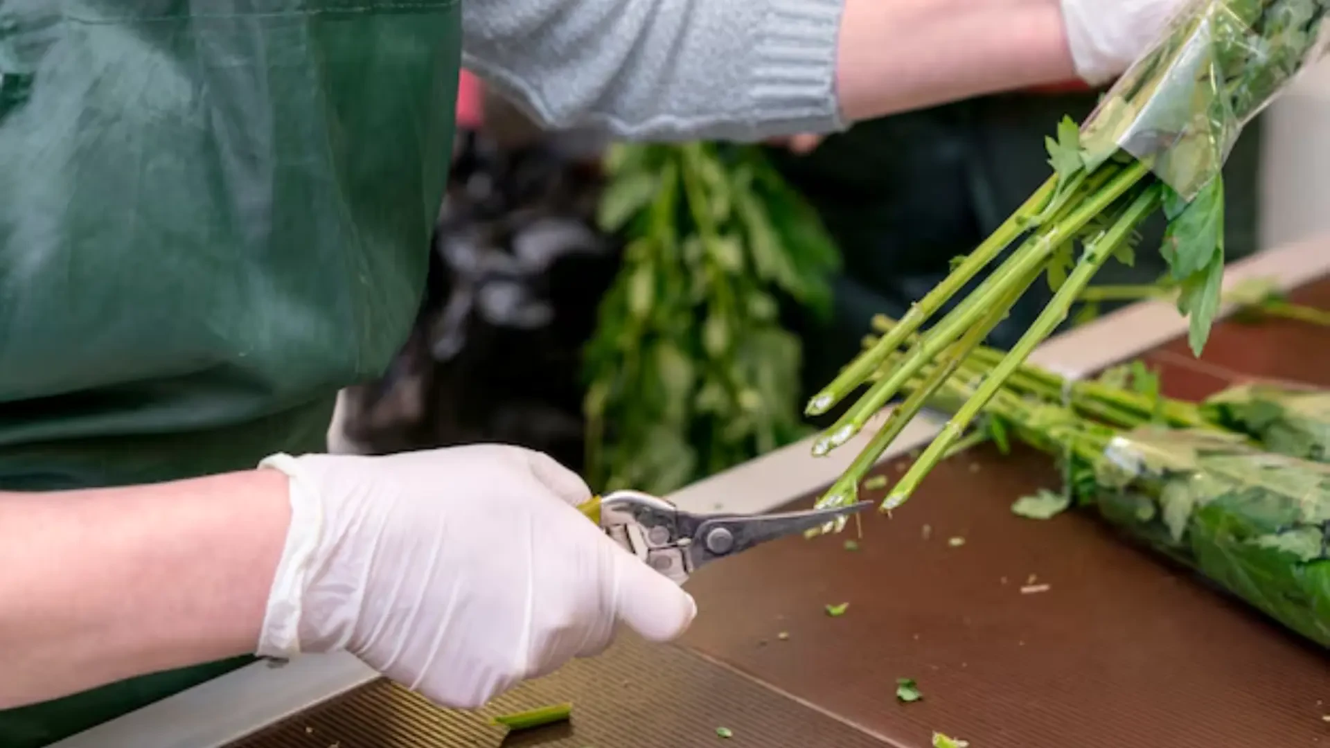 Streamlining Post-Harvest: TrimDaddy, MartorUsa, and Koala Trimmers