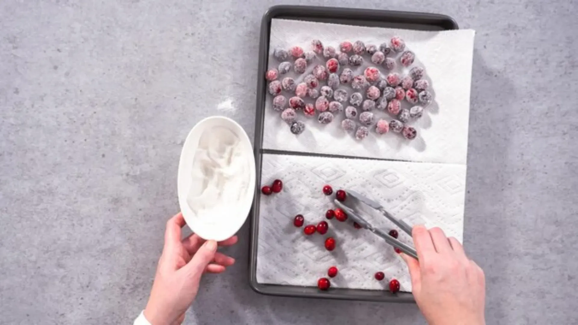 Freeze Drying and Storage Solutions for Growers: Blue Alpine and Harvest Right