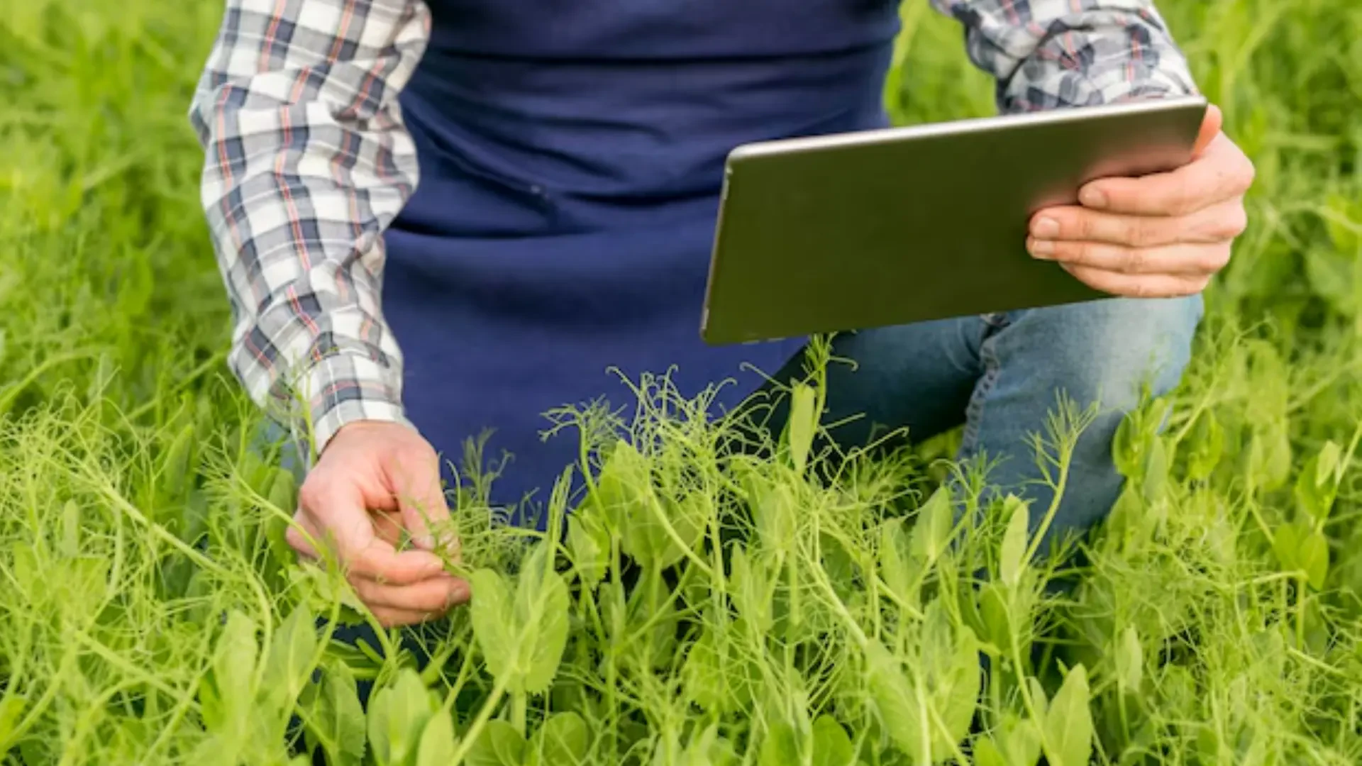 Sustainable Farming Innovations: BioLine, PhycoTerra, Blacksmith, and Aquabella Leading the Way