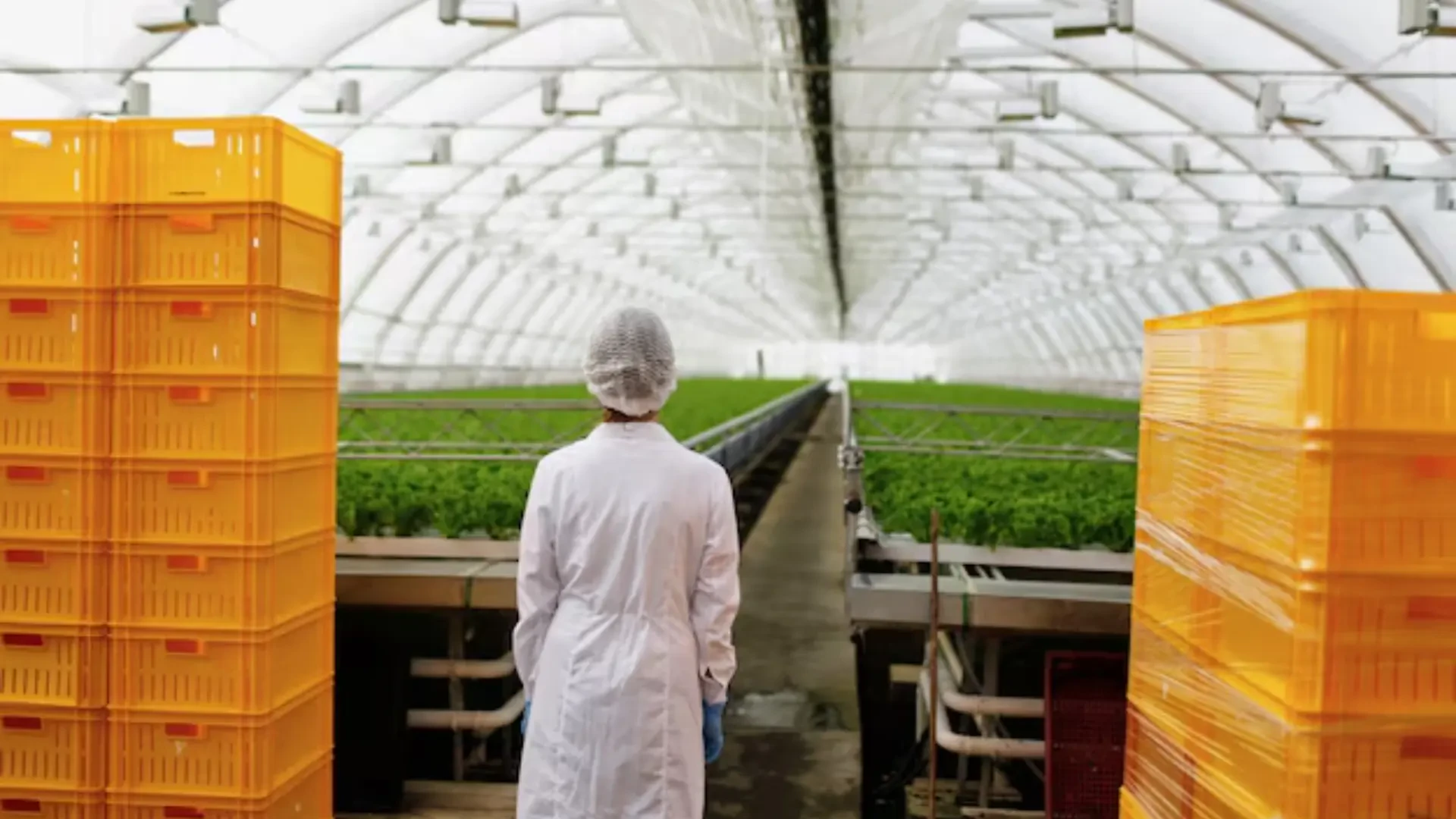 Packaging and Production Simplified: TrufflyMade, LeafyPack, and Accelerant Innovations