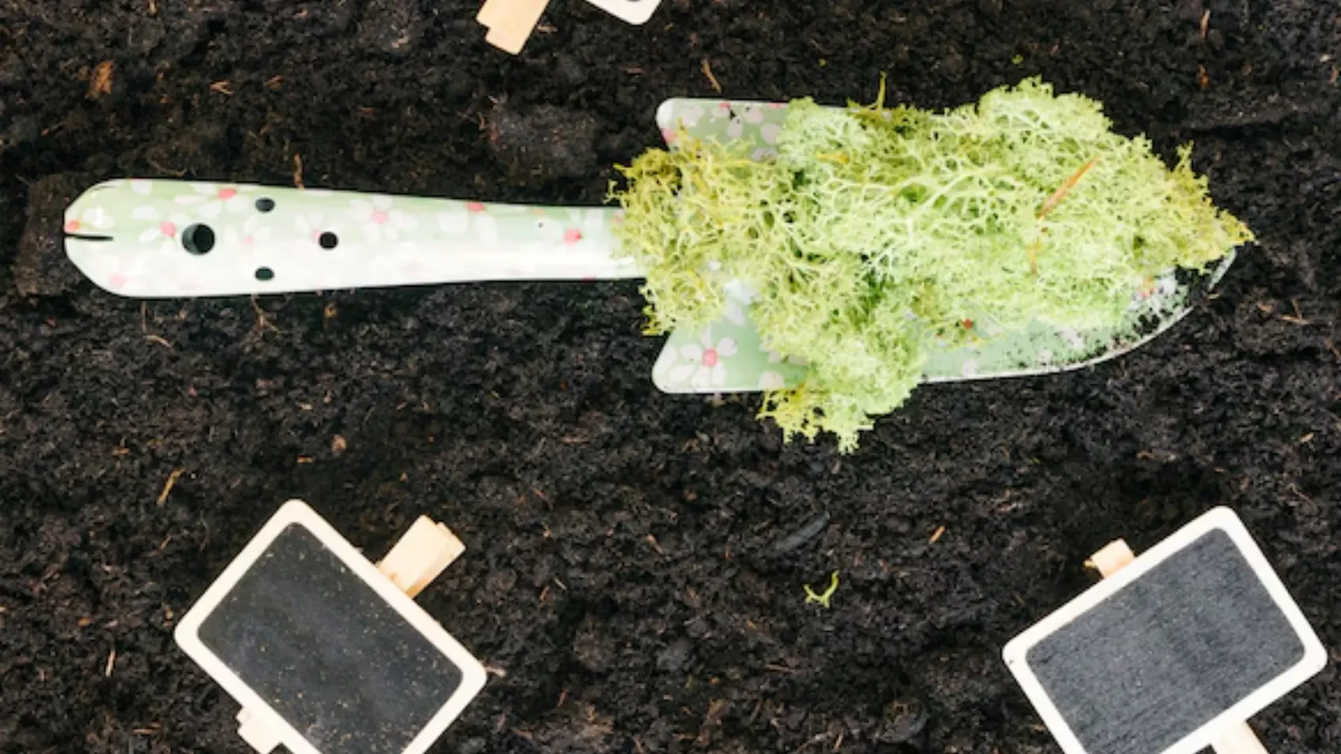 Precision Agriculture Tools: Innovative Tool and Design and Beanstalk Technologies