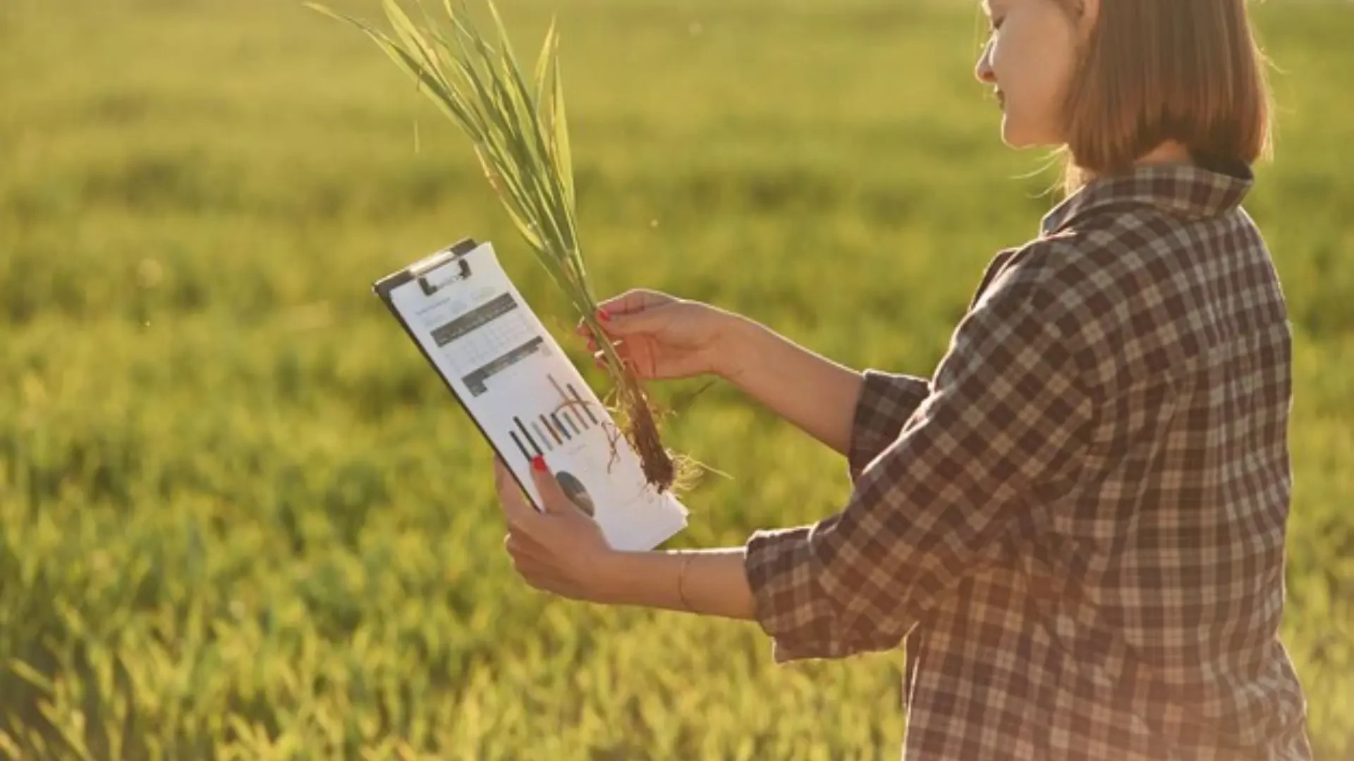 Farm Efficiency at Its Best: FilmOrganic, Badgerland Ventilation, and A&J Vineyard Supply Innovations