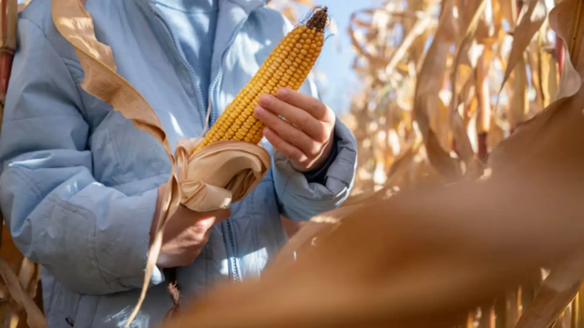 Cutting-Edge Agriculture: Sustainable Farming Tools
