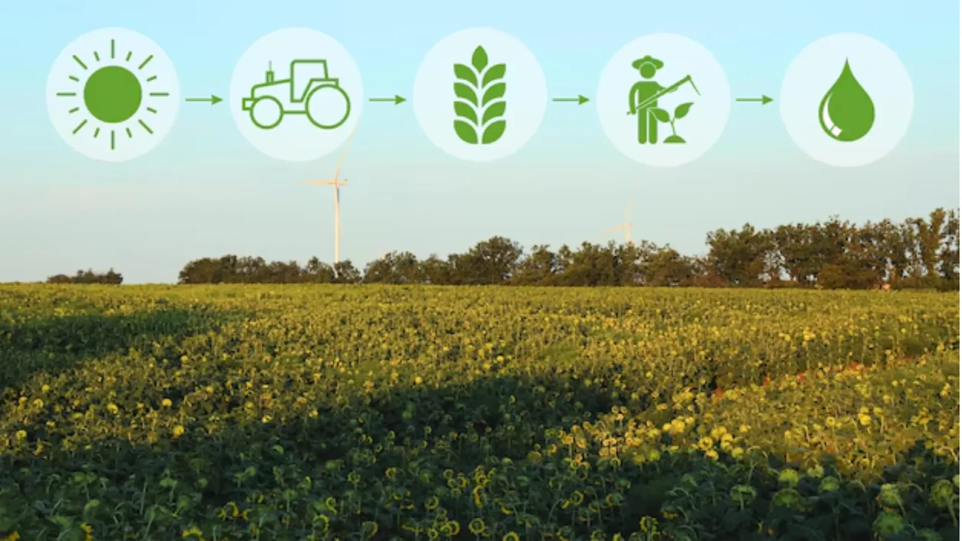 Sustainable Growth for Farming: Best Methods