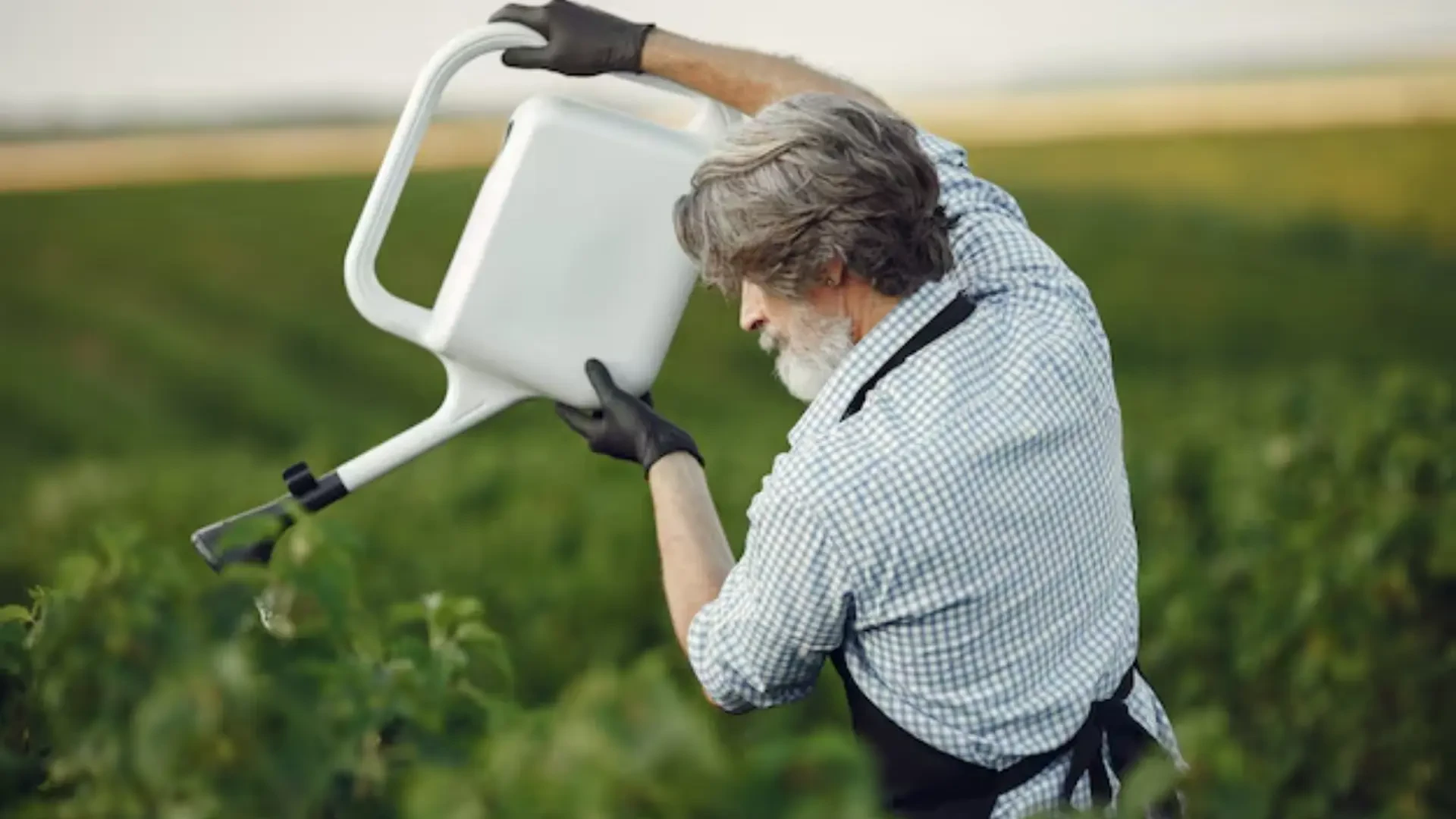 Best Solutions to Transform Fertilization