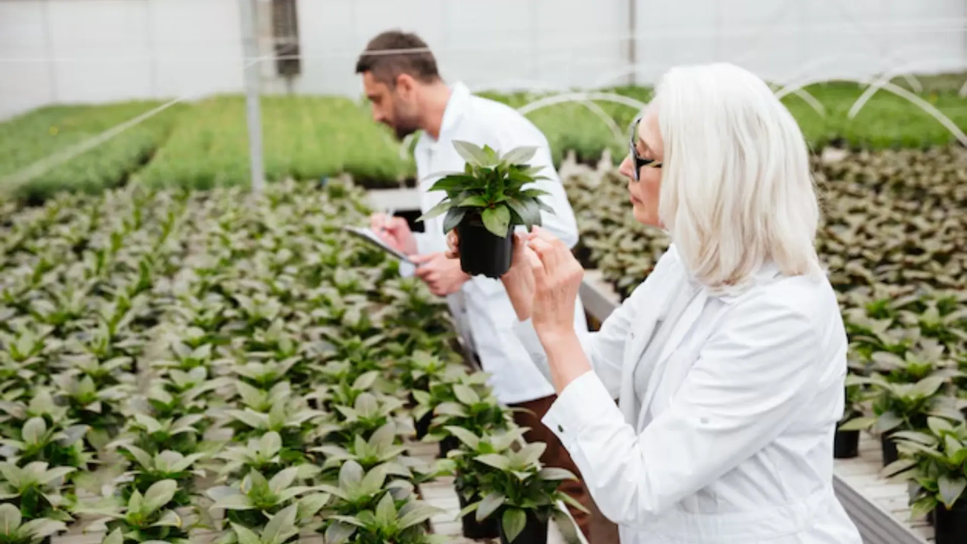 Revolutionizing Agriculture: Sustainable Farming Solutions