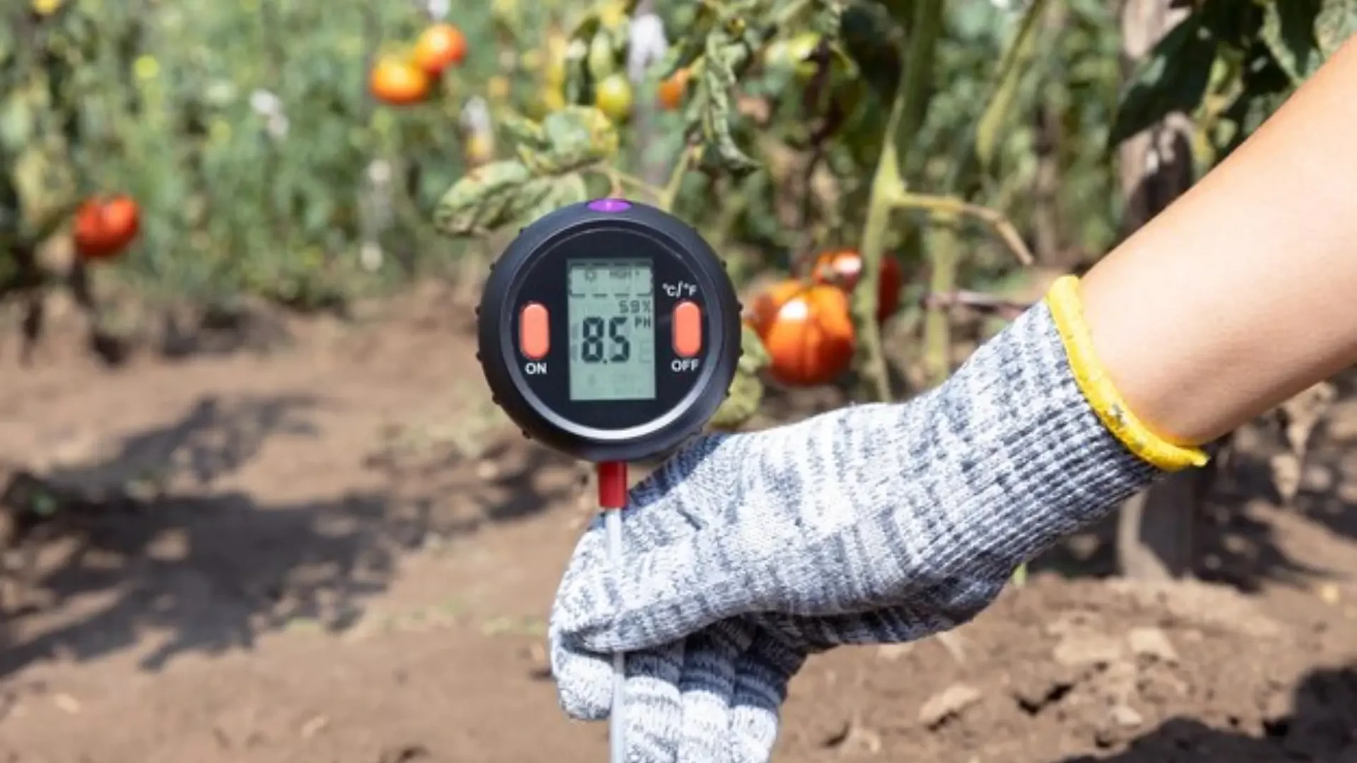 Advancing Agriculture with Precision Farming Tools