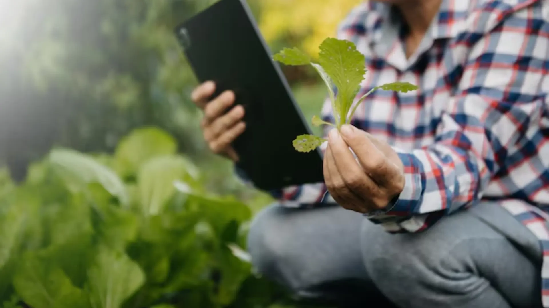 Precision agriculture: Enhancing efficiency and sustainability