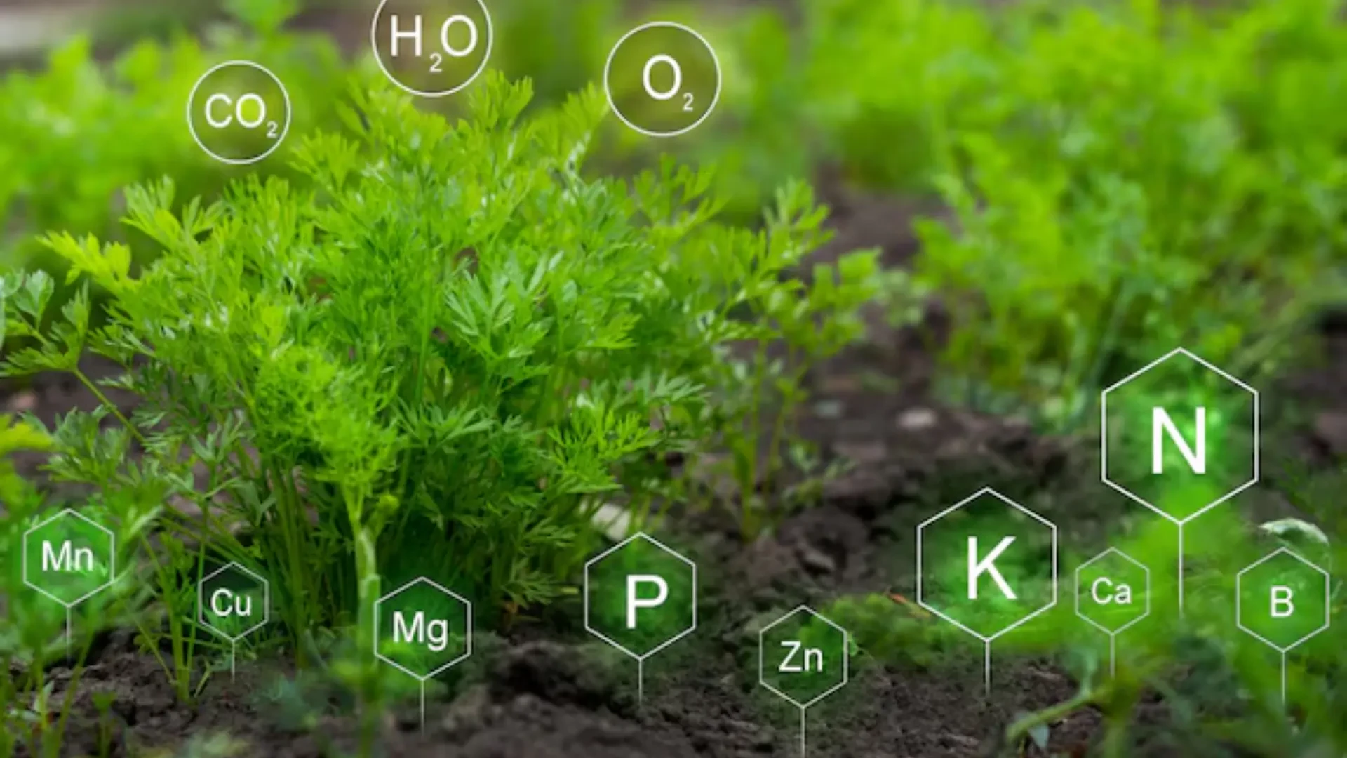 Essential Farming Products: Innovative Solutions