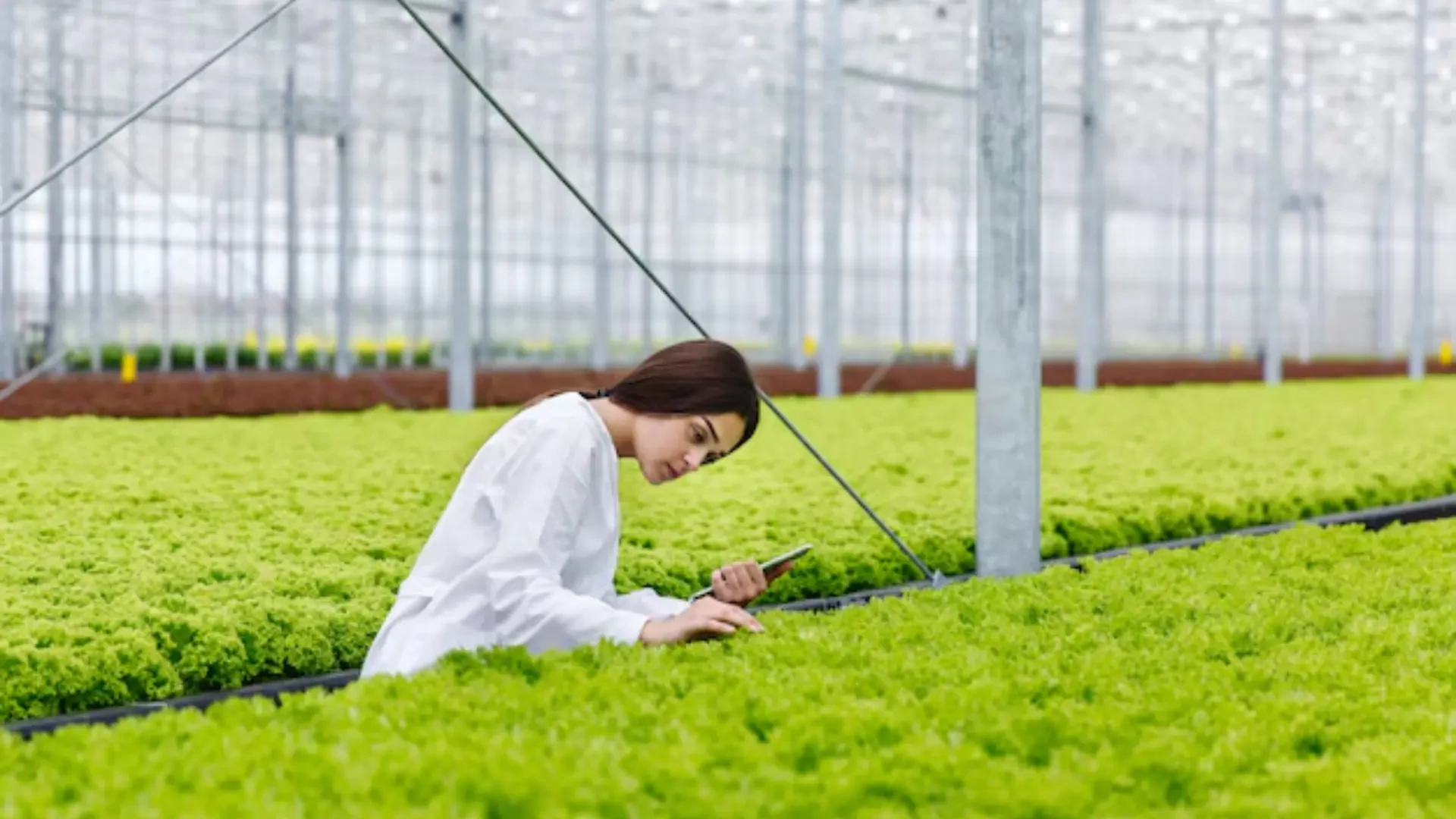 Revolutionizing Agriculture: Sustainable Farming Practices