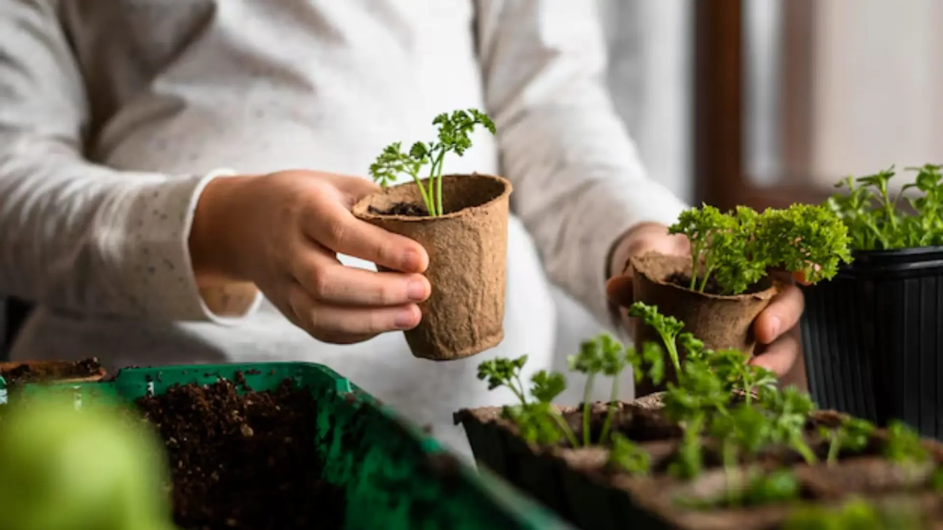 Sustainable Farming Practices: Innovations for Sustainable Growth