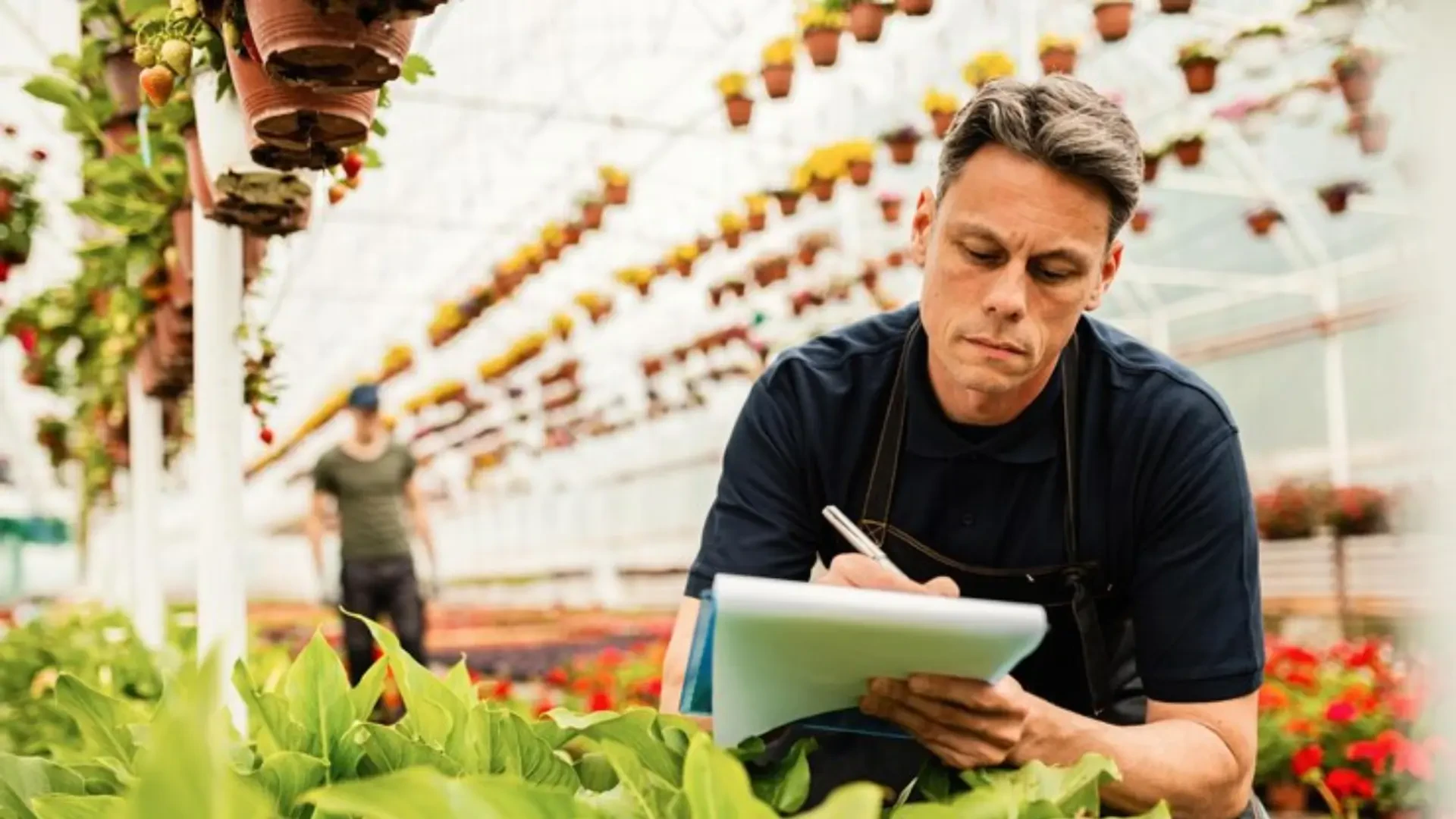 Maximizing Farm Efficiency: Advanced Strategies for Higher Productivity