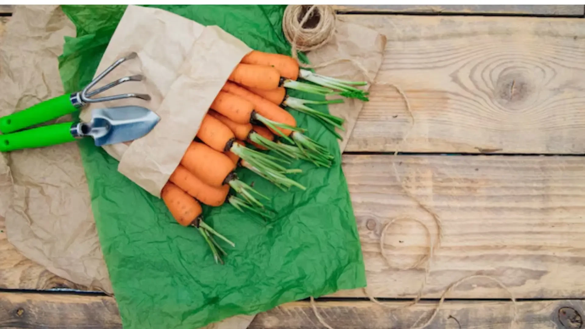 Sustainable Farming Essentials: Harvest Gold Organics and Flying Skull Solutions