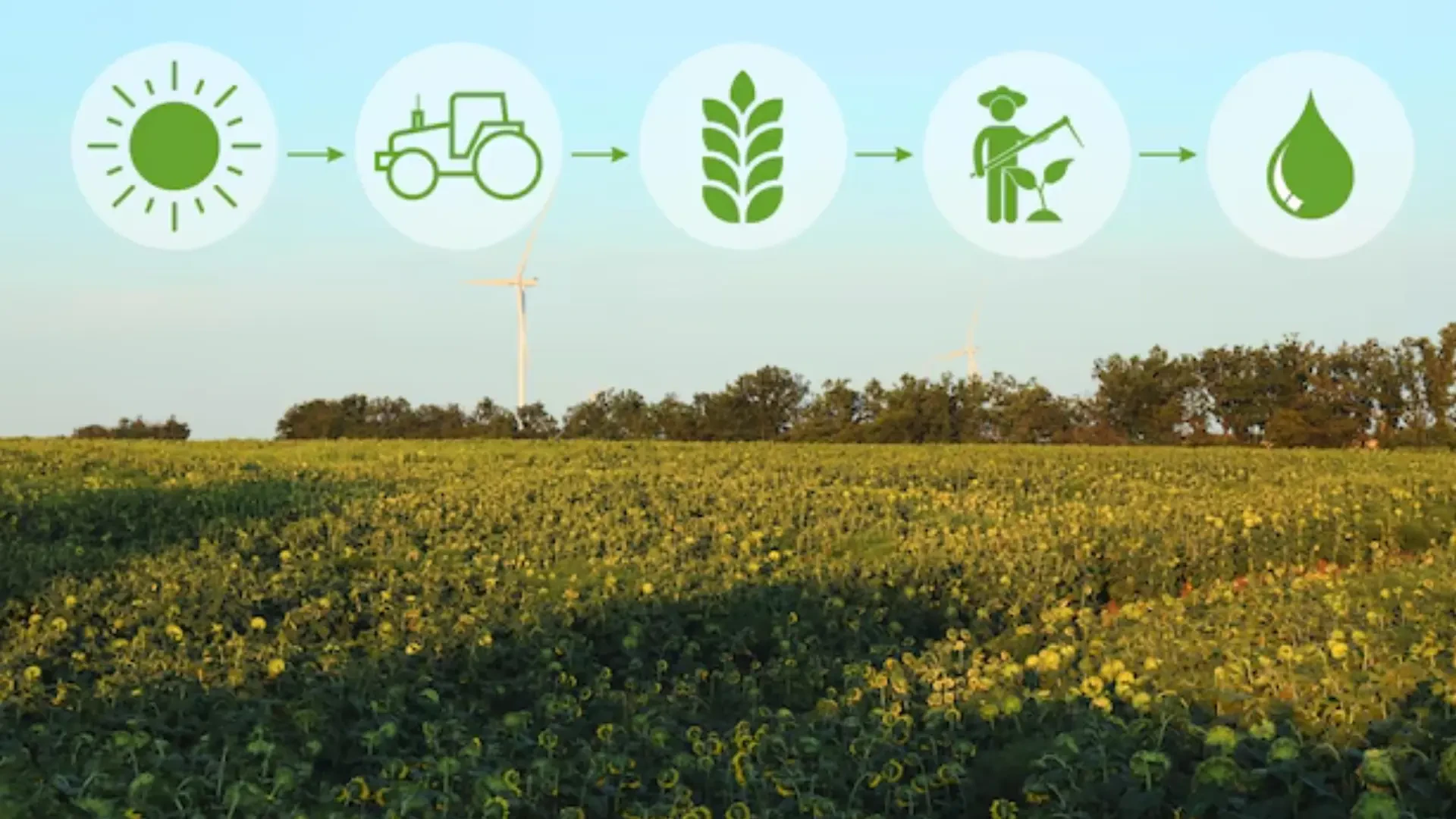 Resource-efficient Farming: Reducing Costs, Saving Resources, Boosting Yields