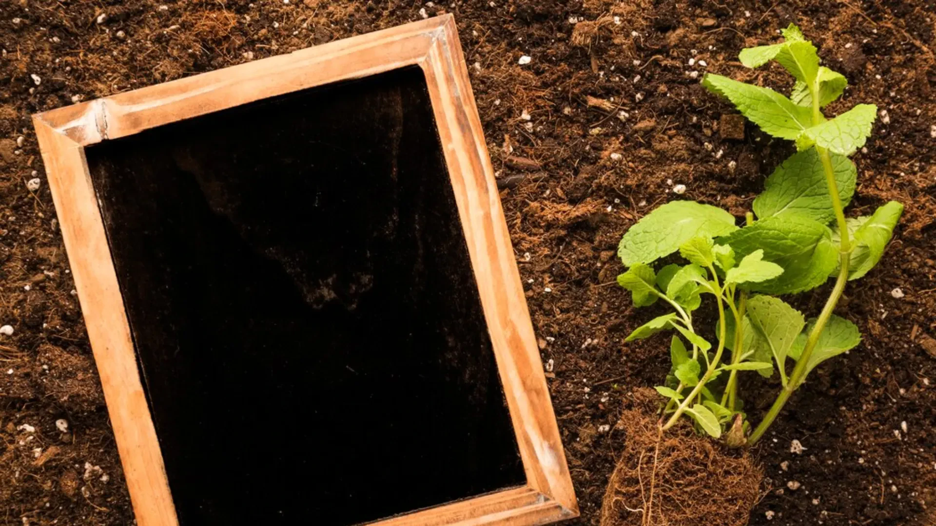Organic Growth Breakthroughs: Enhancing Crop Vitality Naturally