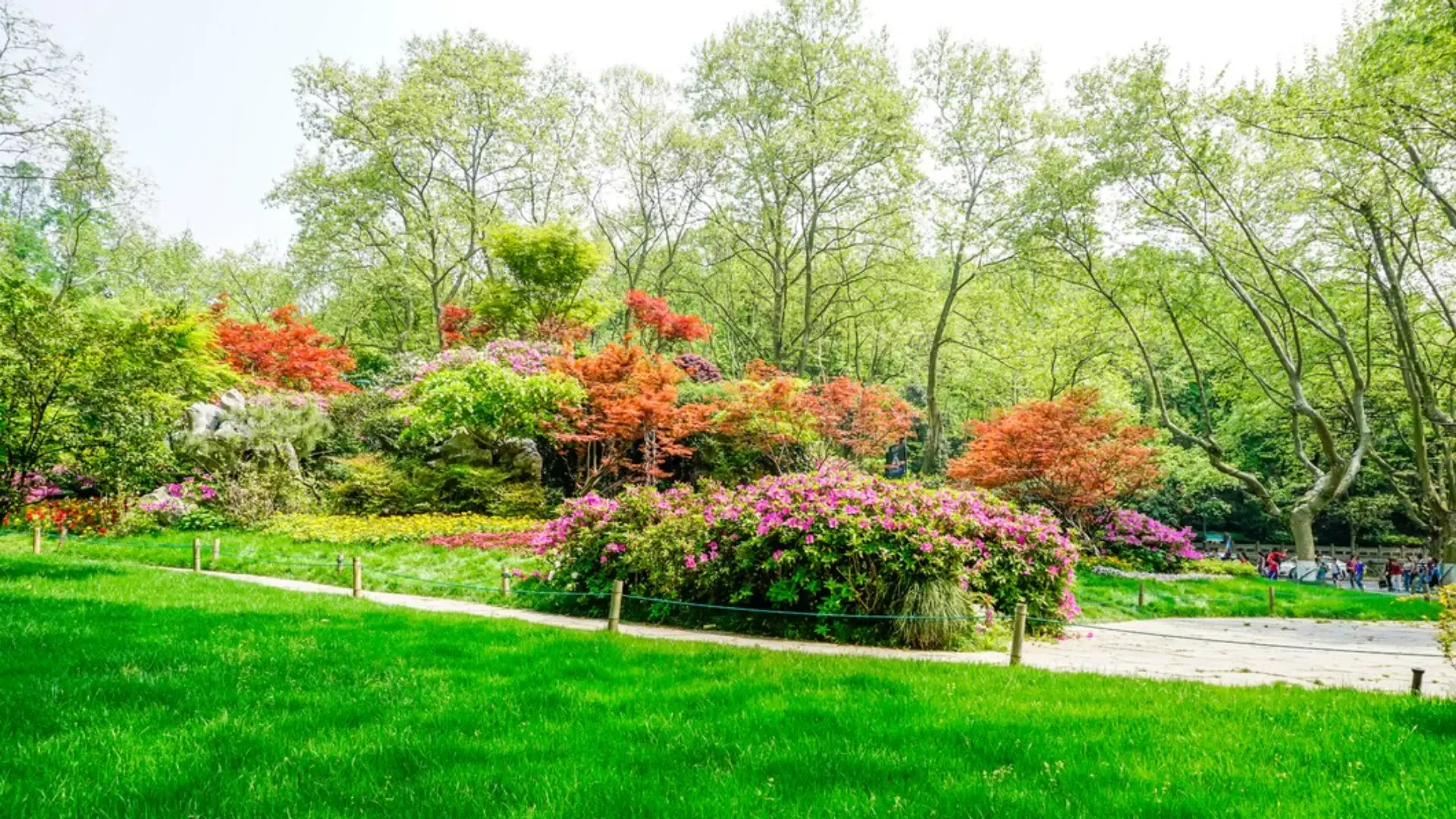 Innovative Approaches to Landscaping: How to Make the Most of Agricultural Space