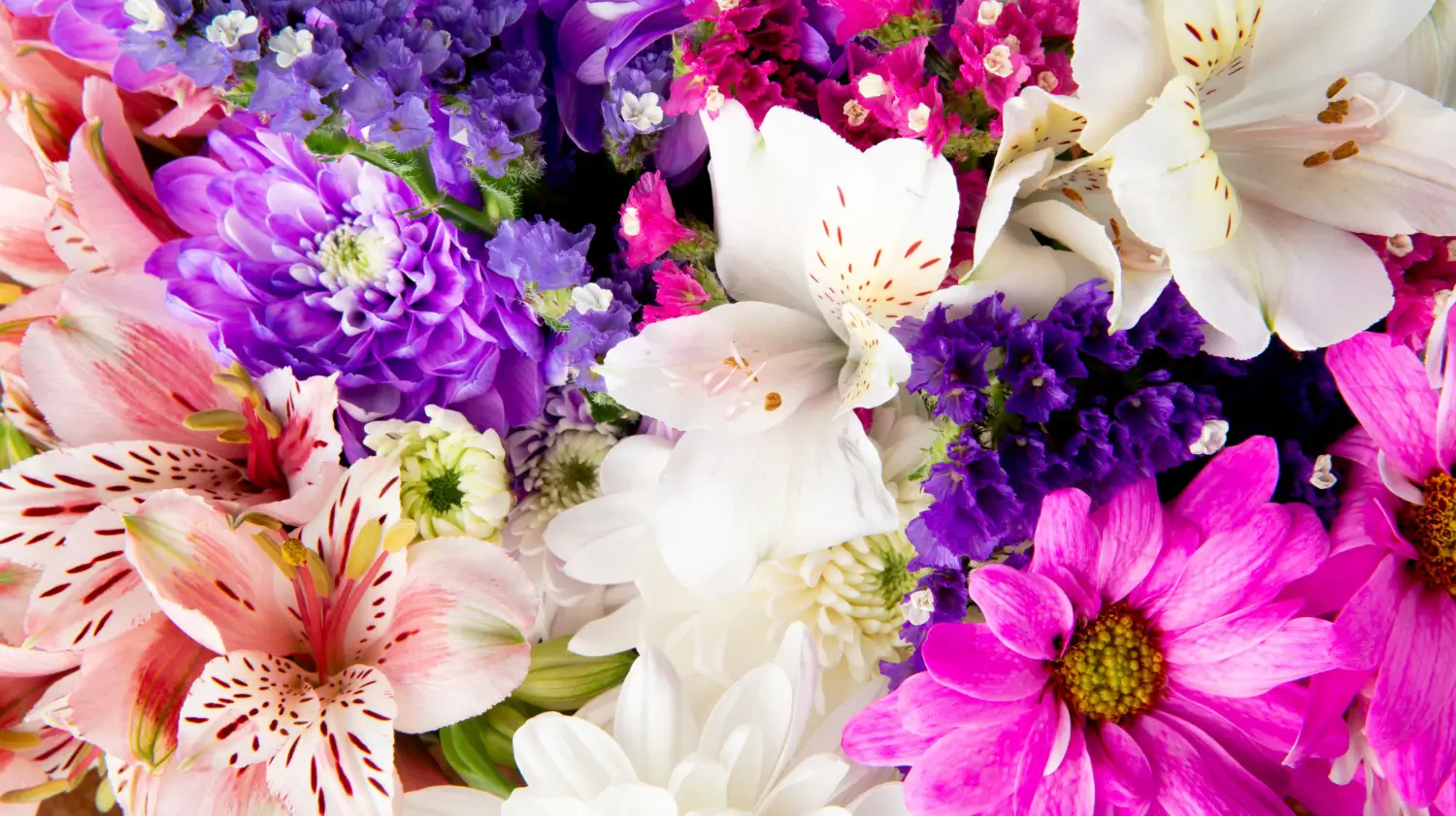 Top 10 stunning spring flowers to brighten your garden