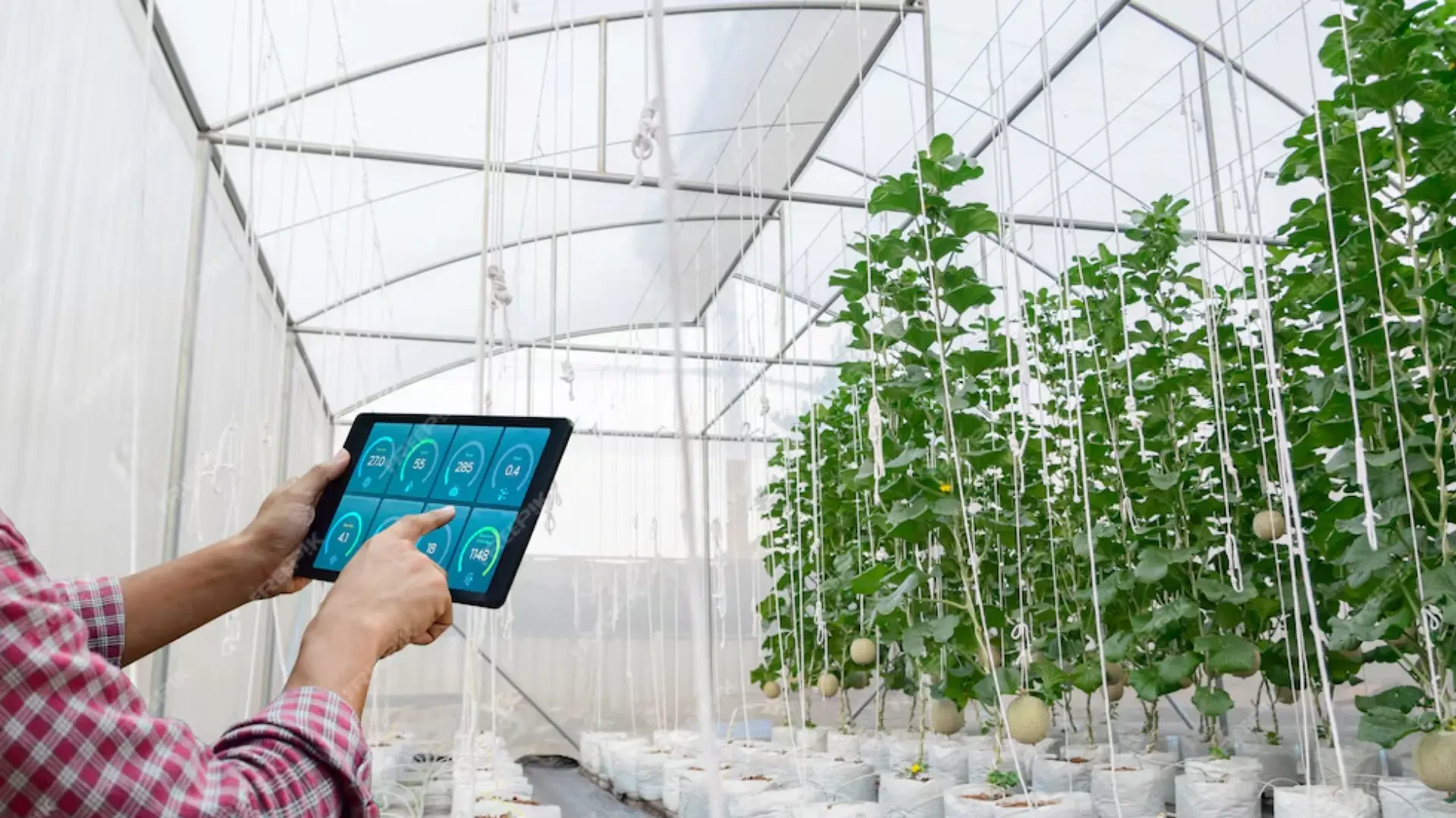 Enhancing Indoor Cultivation: Automation, Climate Control & Precision Processing