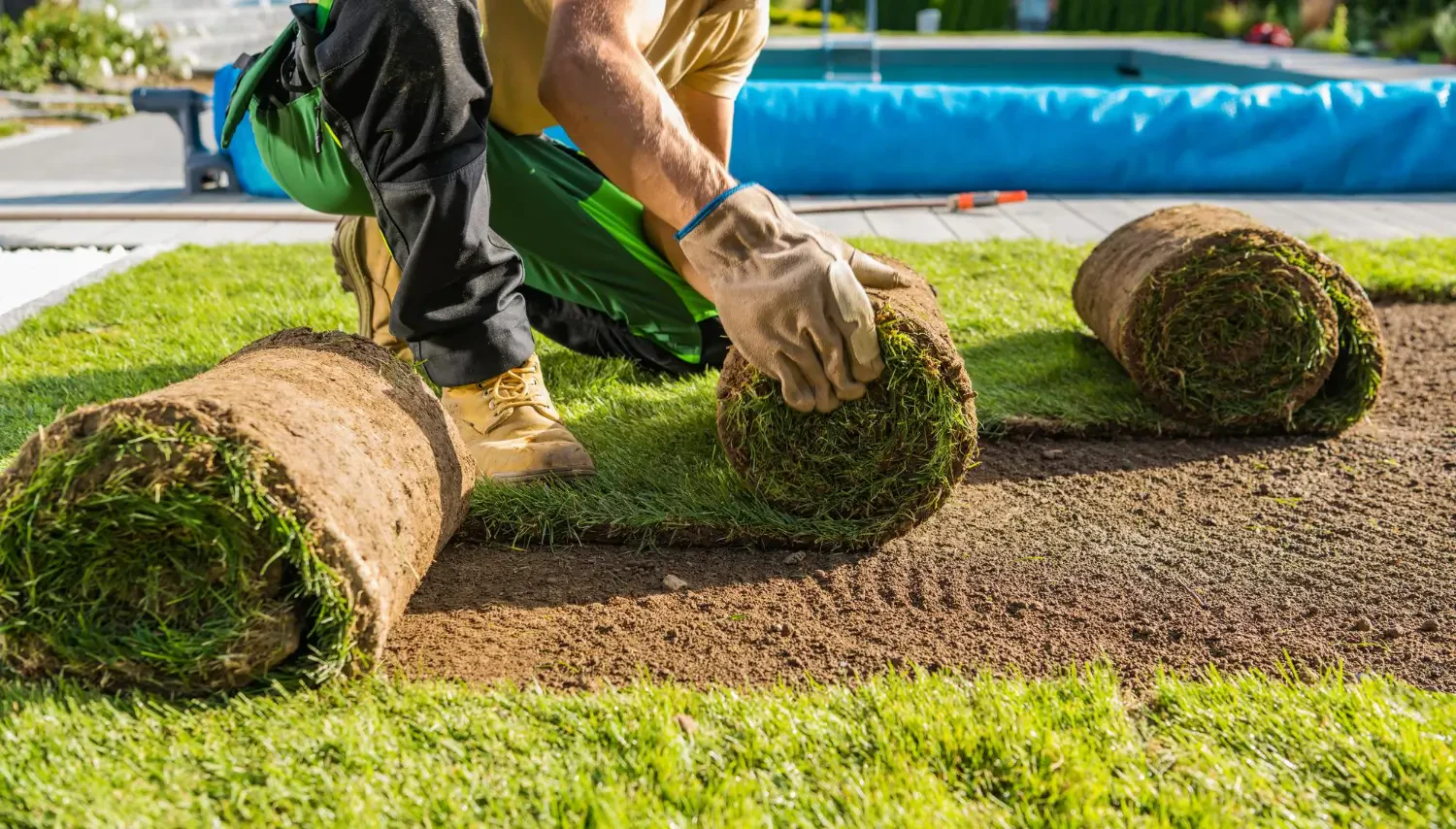 Step-by-step guide: How to lay sod for a perfect lawn
