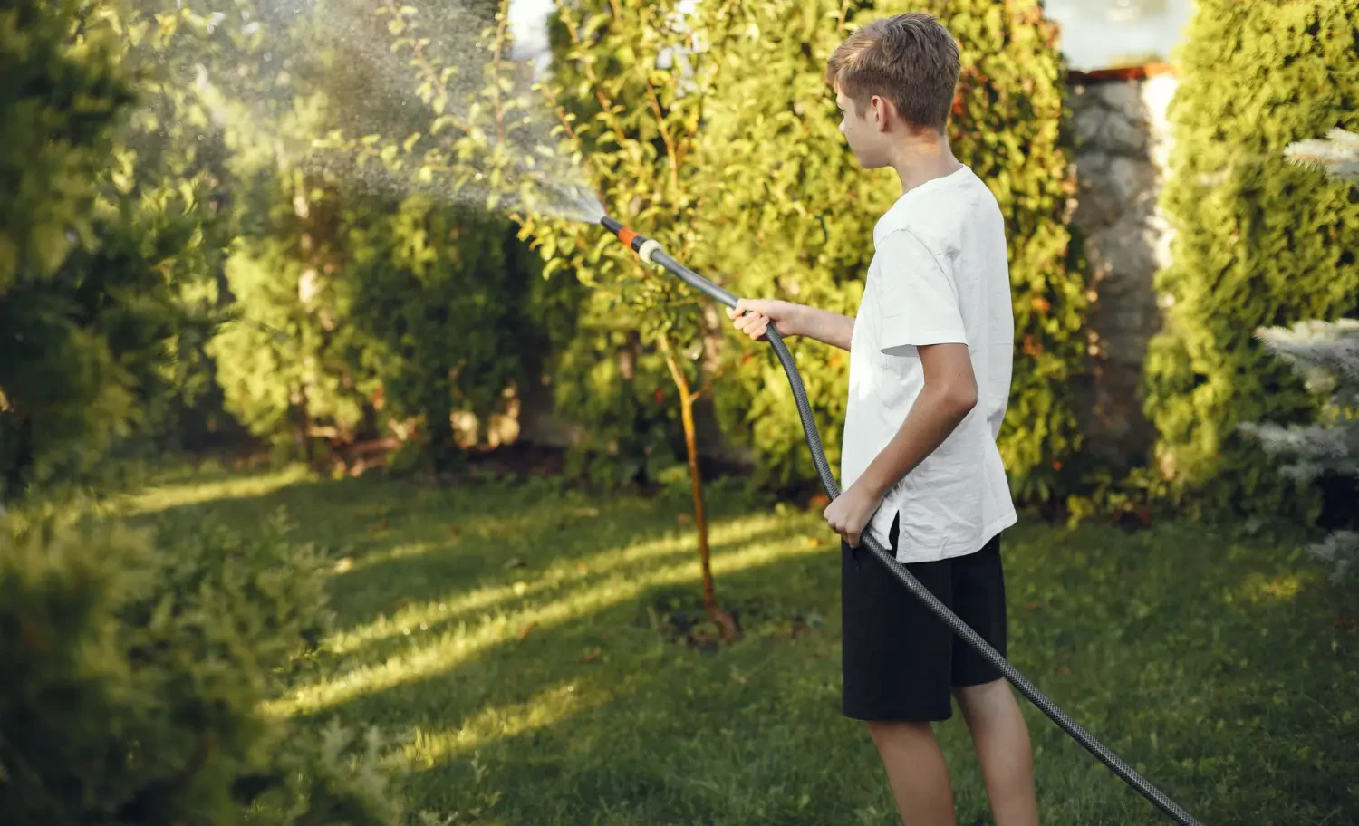 Best time to water grass for a healthier, greener lawn