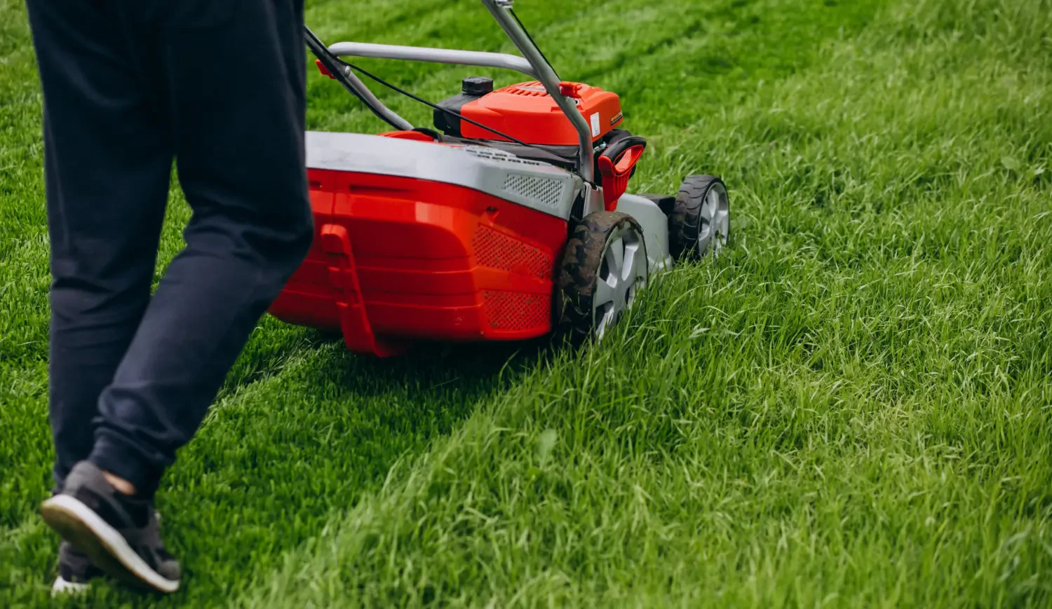 Best mulching blades for a healthier, low-maintenance lawn