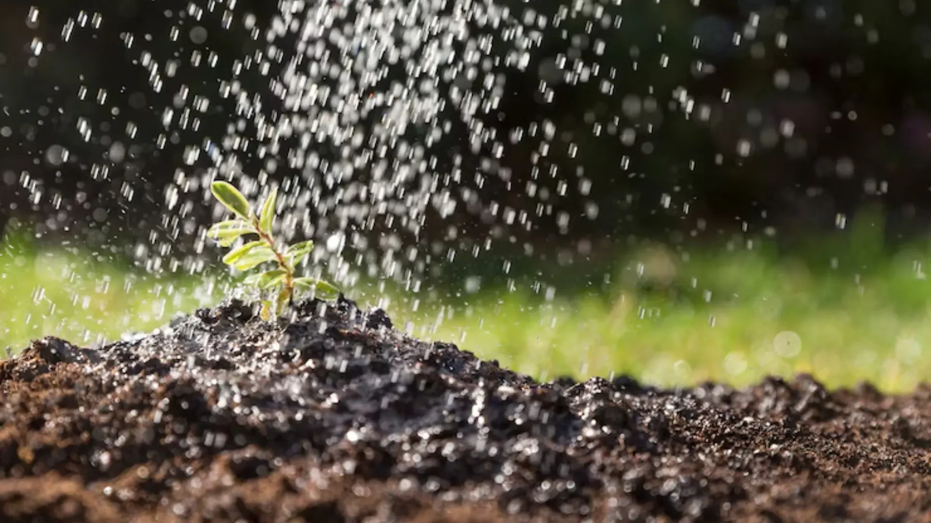 Streamlining Irrigation and Harvest: Smart Solutions for Modern Farming