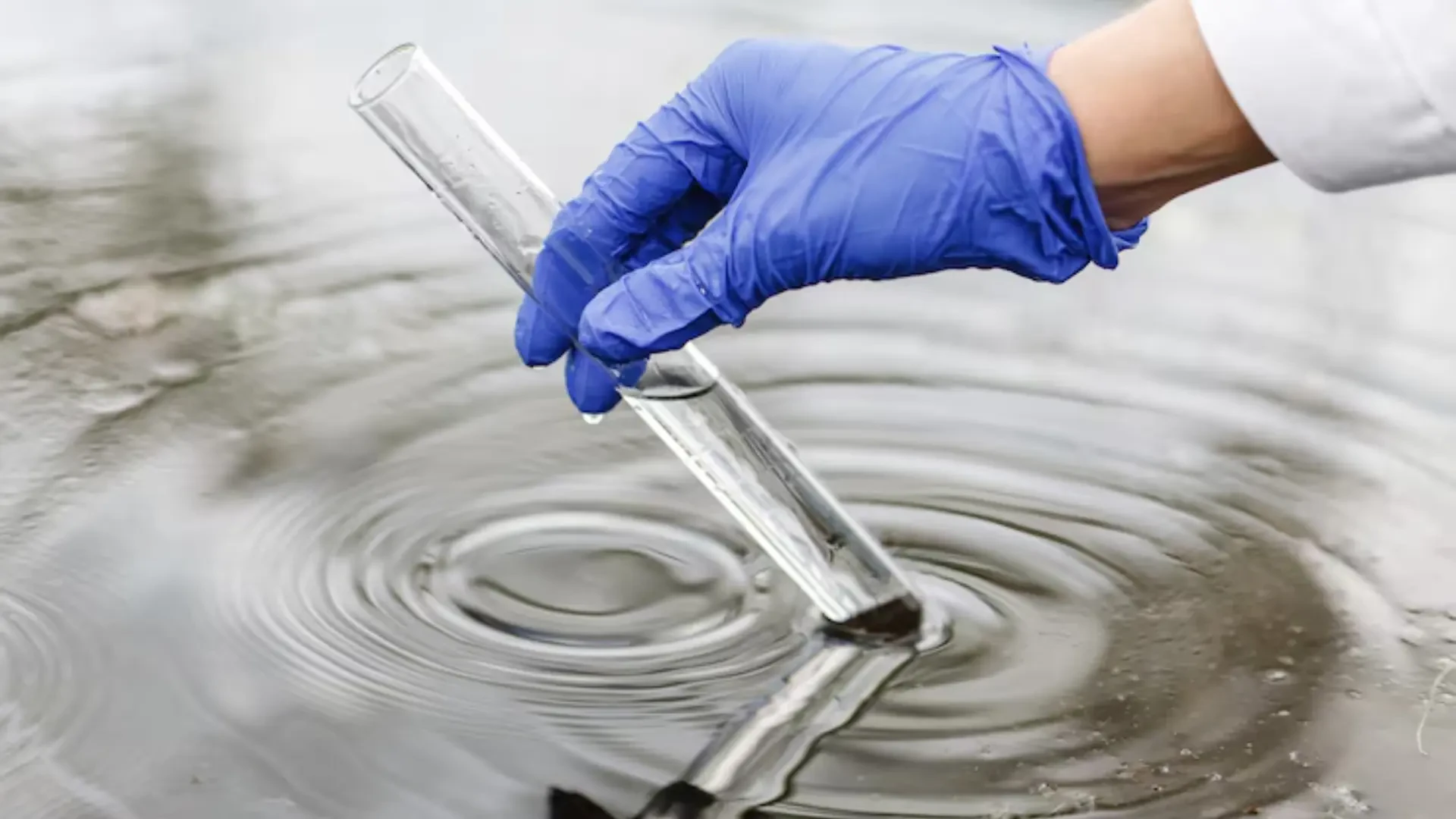 Precision Water Filtration: How Advanced Systems Optimize Agriculture