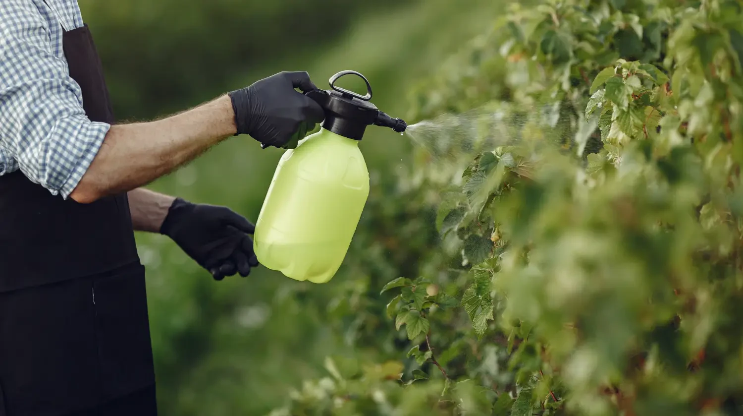 Talstar P insecticide: A powerful solution for long-lasting pest control
